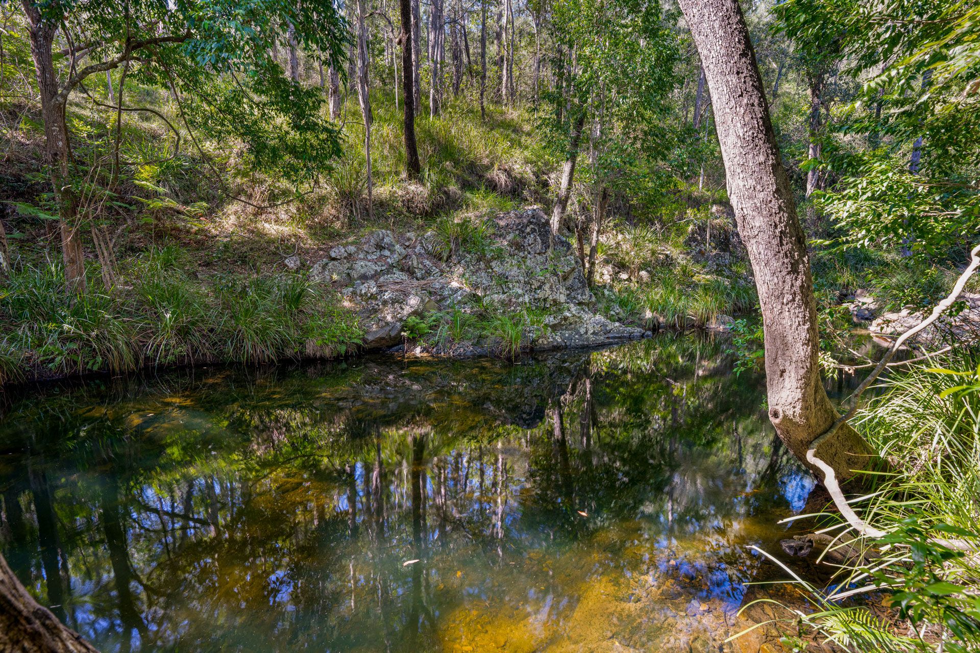 Peaceful Off-Grid Escape Along Amamoor Creek — photo 12 of 16