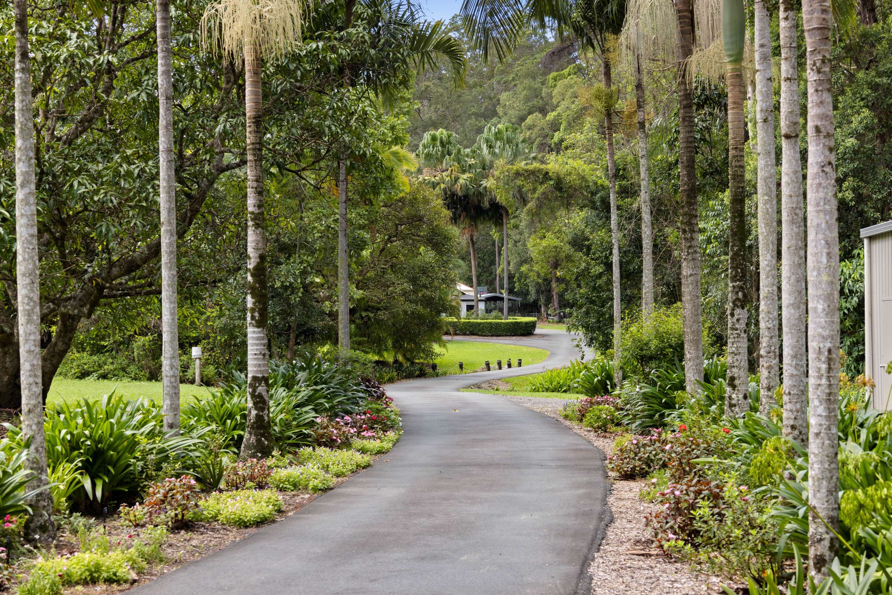 6 Sawreys Road, Forest Glen, QLD 4556