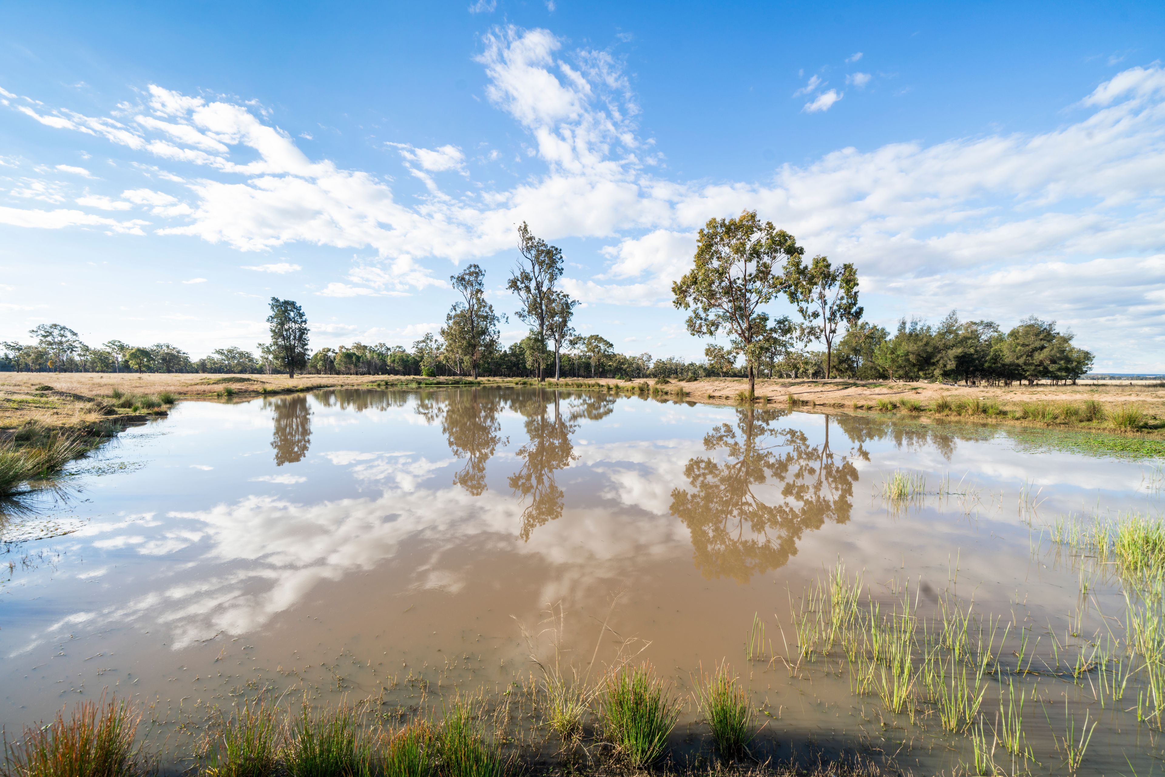 707 Rocky Creek Road, Rocky Creek, QLD 4357