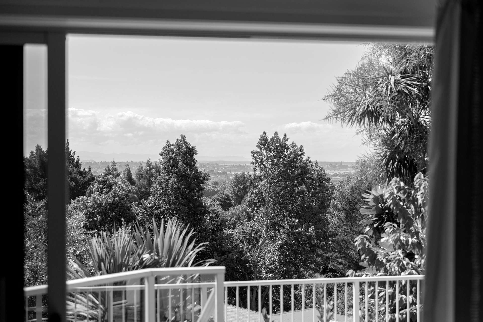 8 Waiorakei Way photo 53