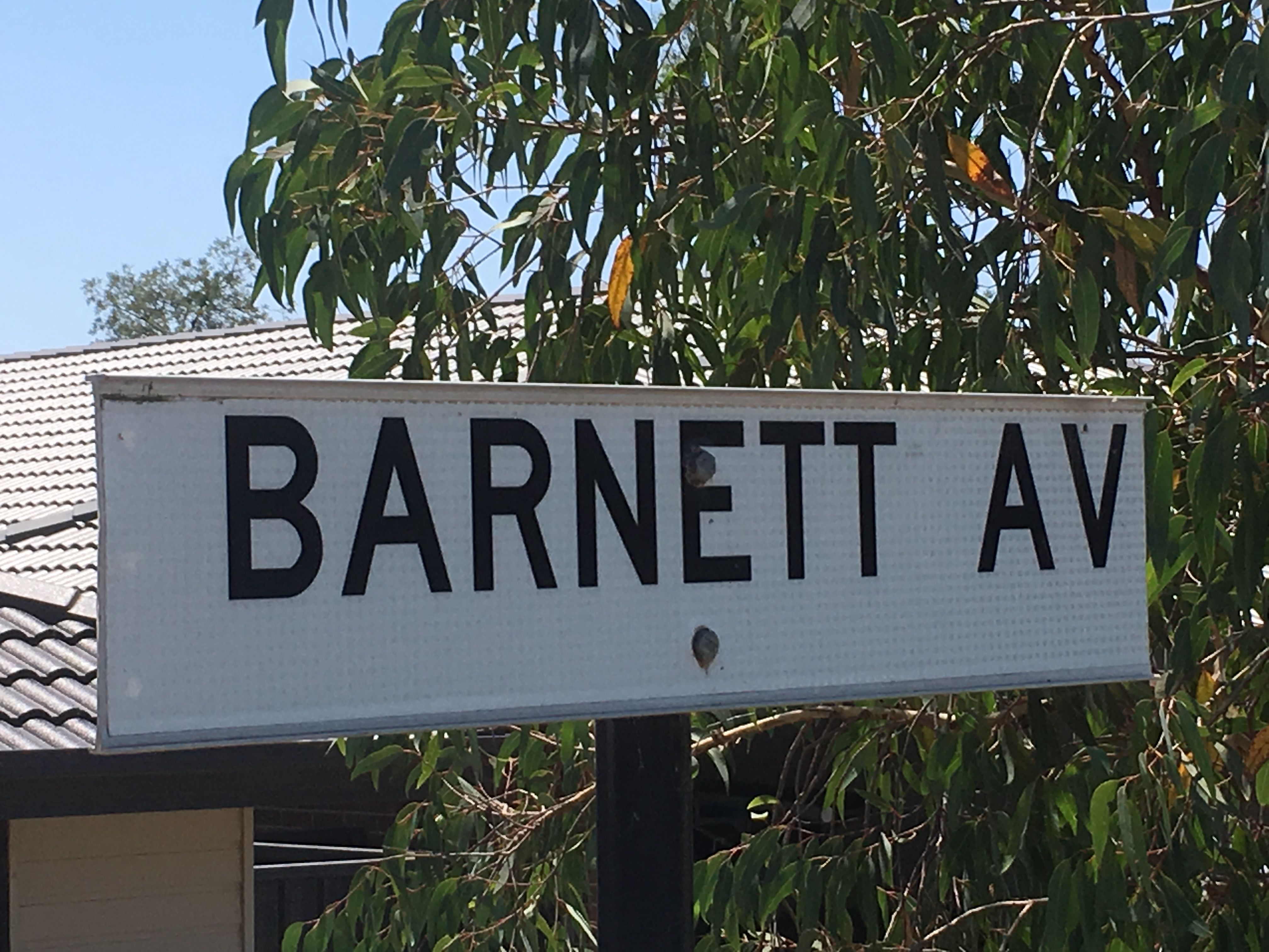41 Barnett Avenue, Thurgoona, NSW 2640