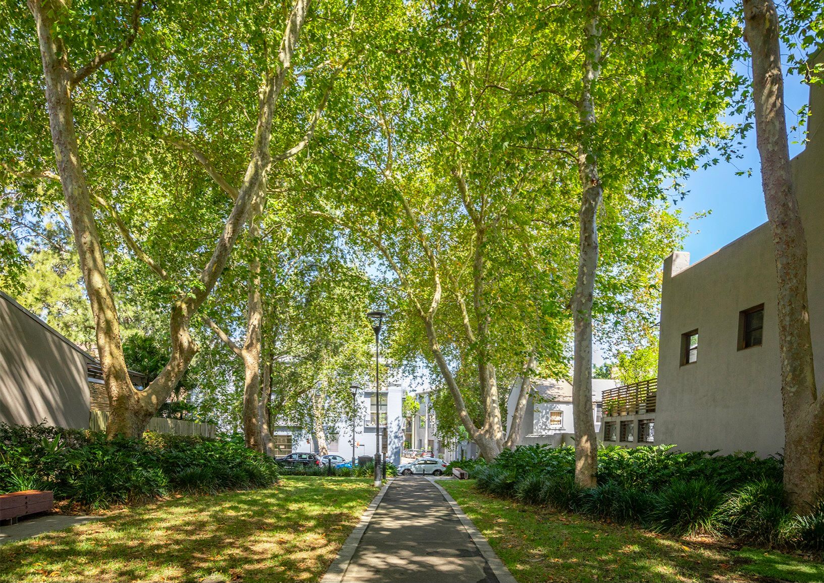 4/452 Bourke Street, Surry Hills, NSW 2010