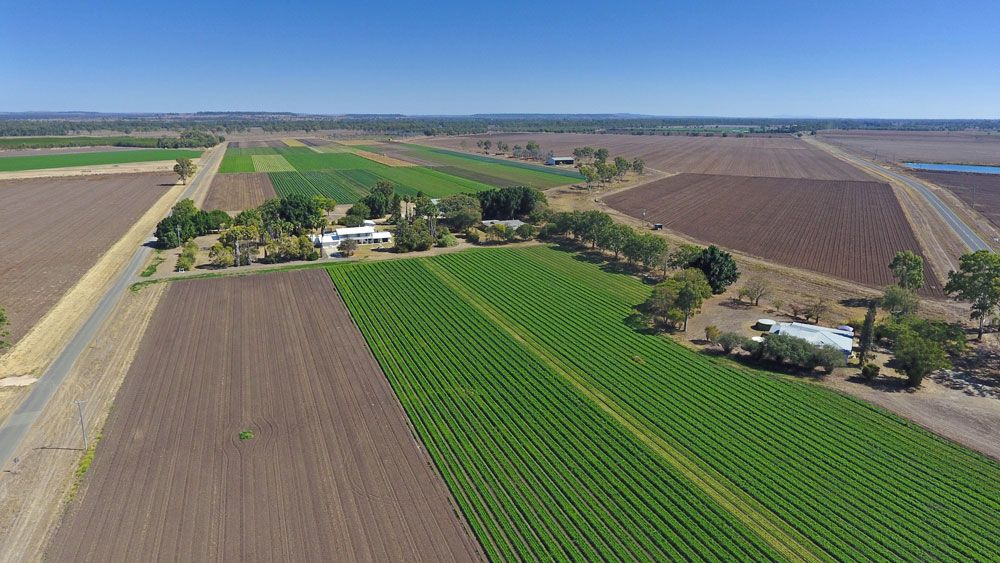 Rural Mixed Farming Property Biloela, QLD
