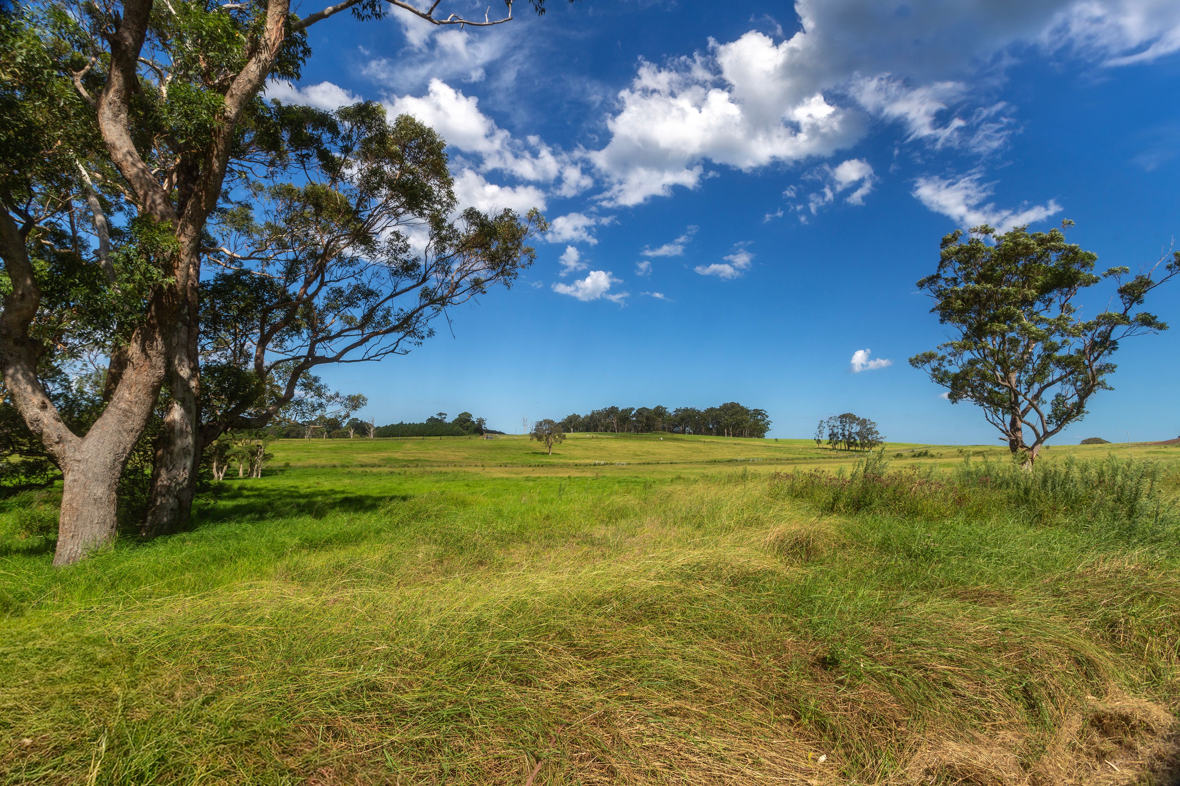 3 Serenity Ridge, Berry, NSW 2535 Land for Sale Ray White Gerringong