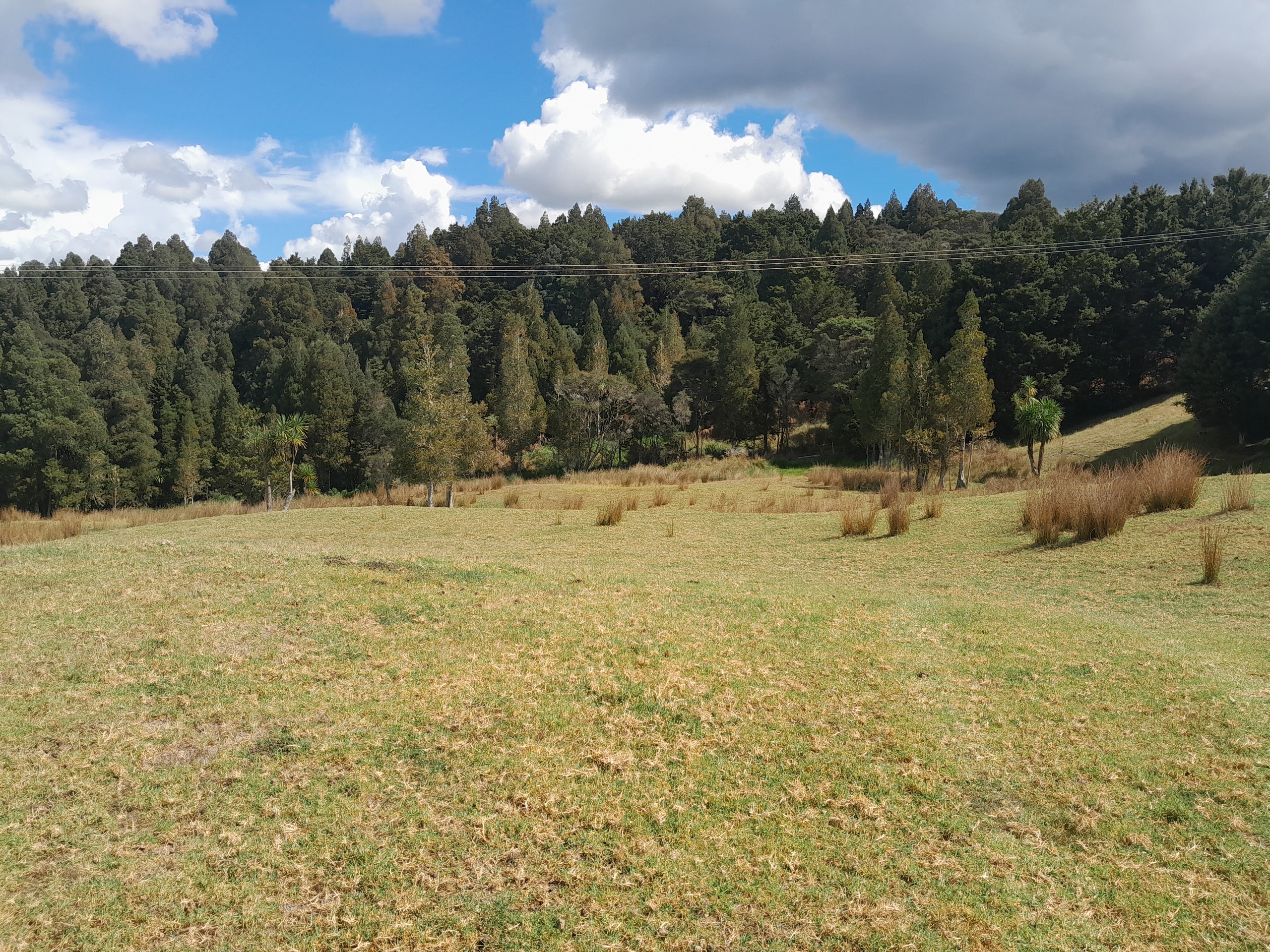 596 Waimate North Road, Kerikeri, Far North District