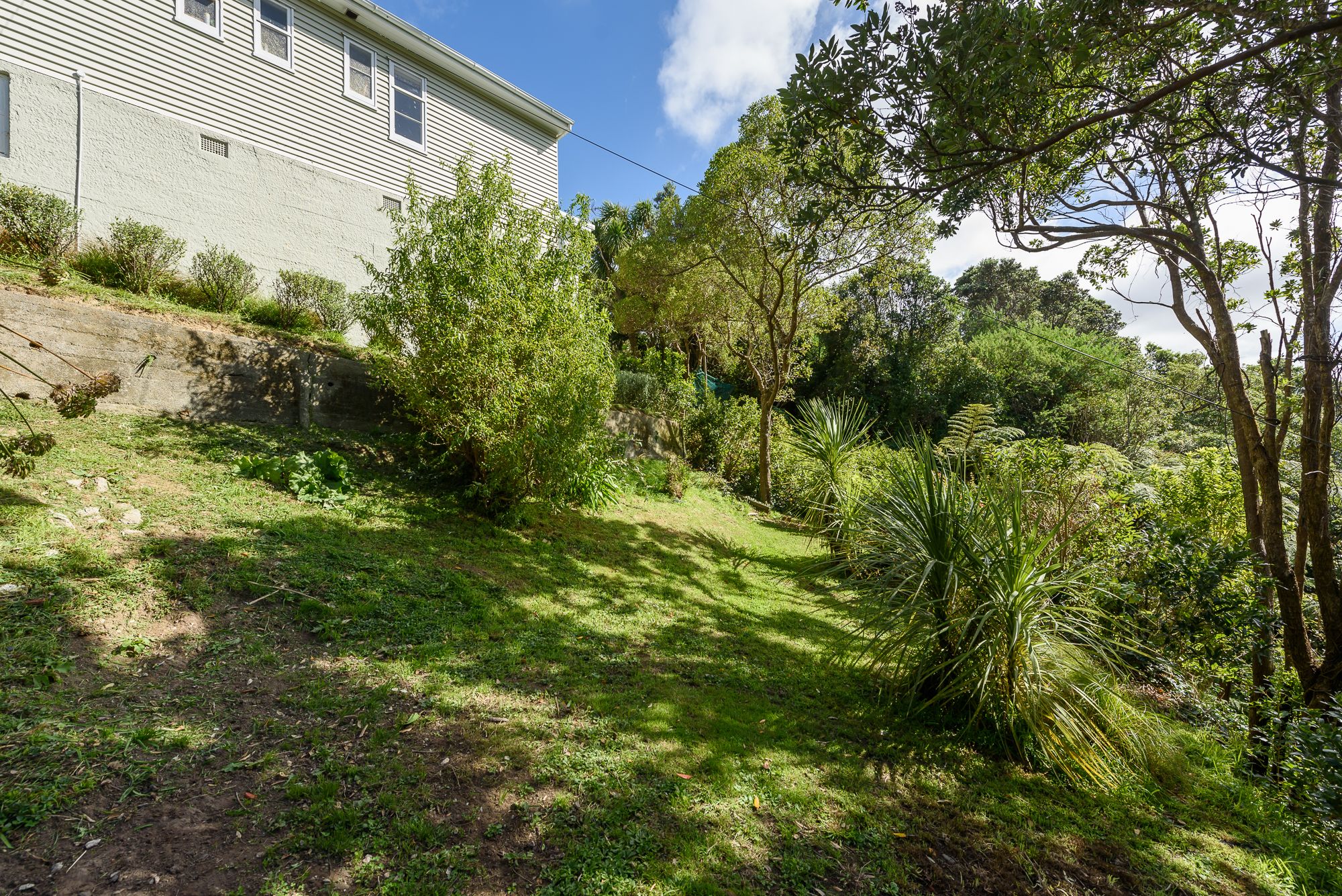 10a Rodney Street, Northland, Wellington City
