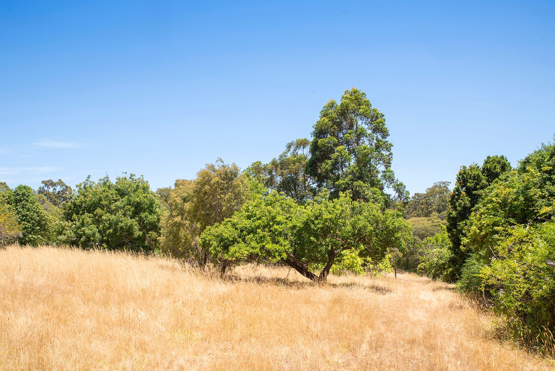 20 Tunbridge Street, Margaret River, WA 6285 Sold Land Ray White