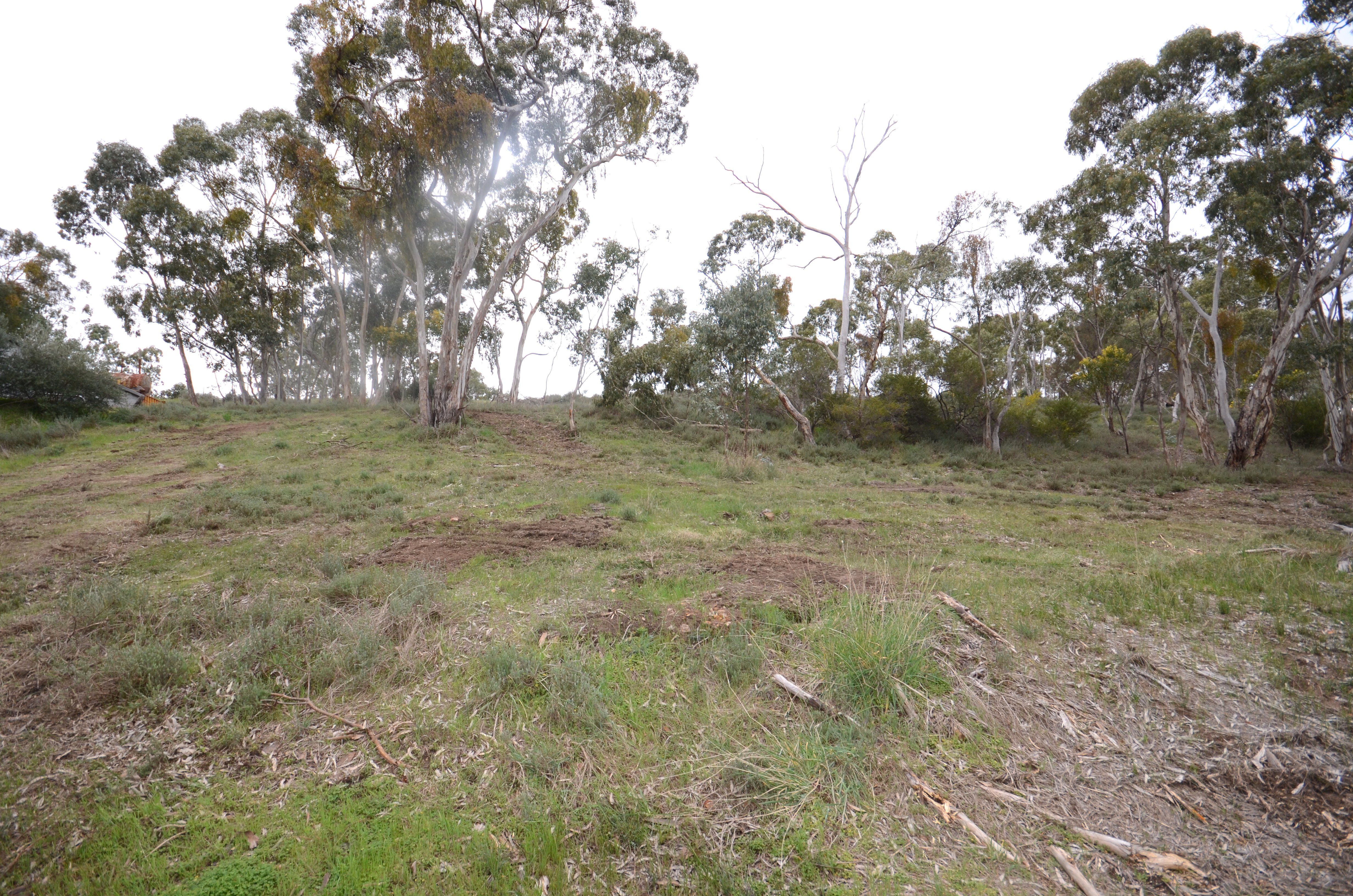 Lot 301 Hanlins Road, Clare, SA 5453