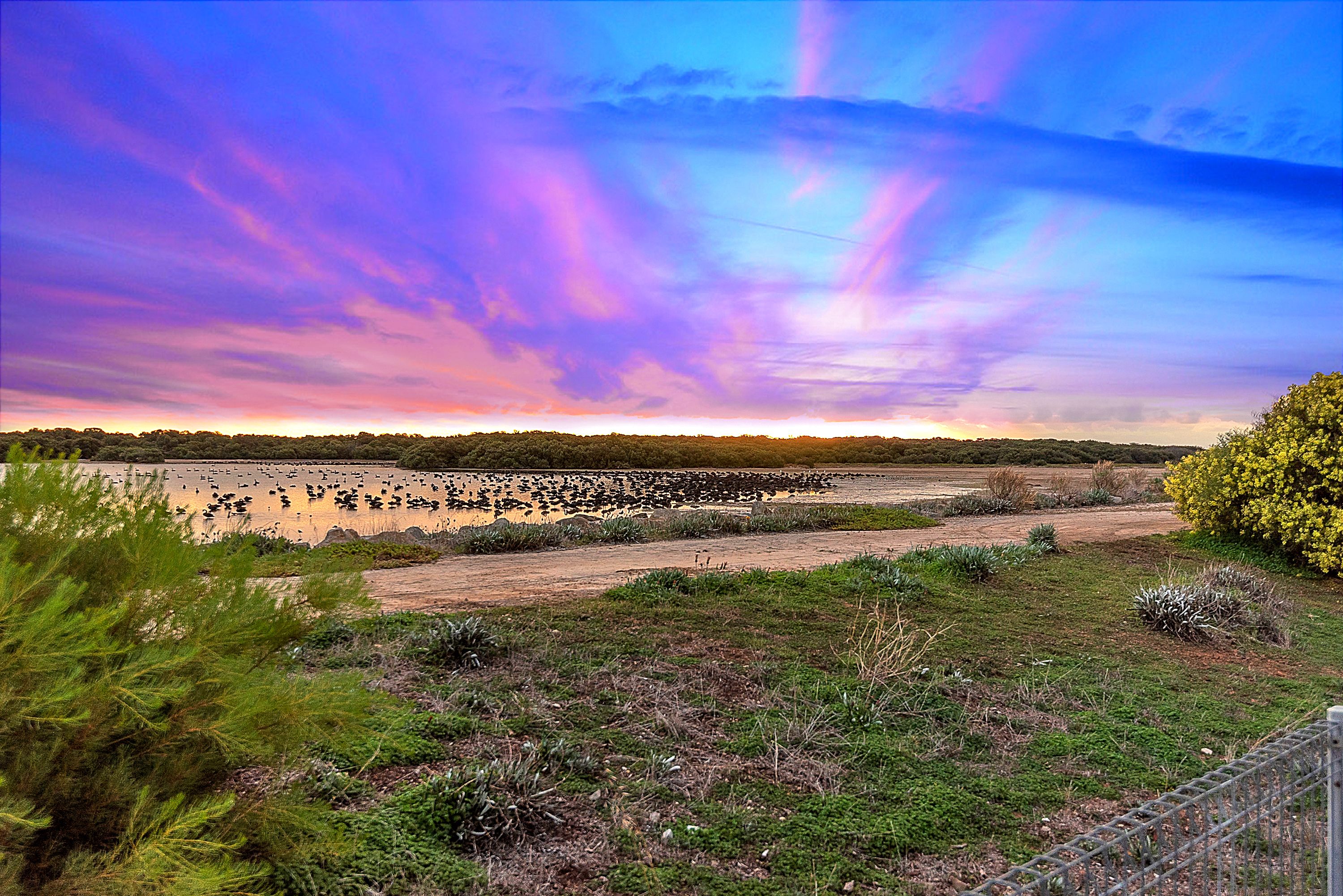 14 Beach Road, St Kilda, SA 5110 Sold House Ray White Salisbury