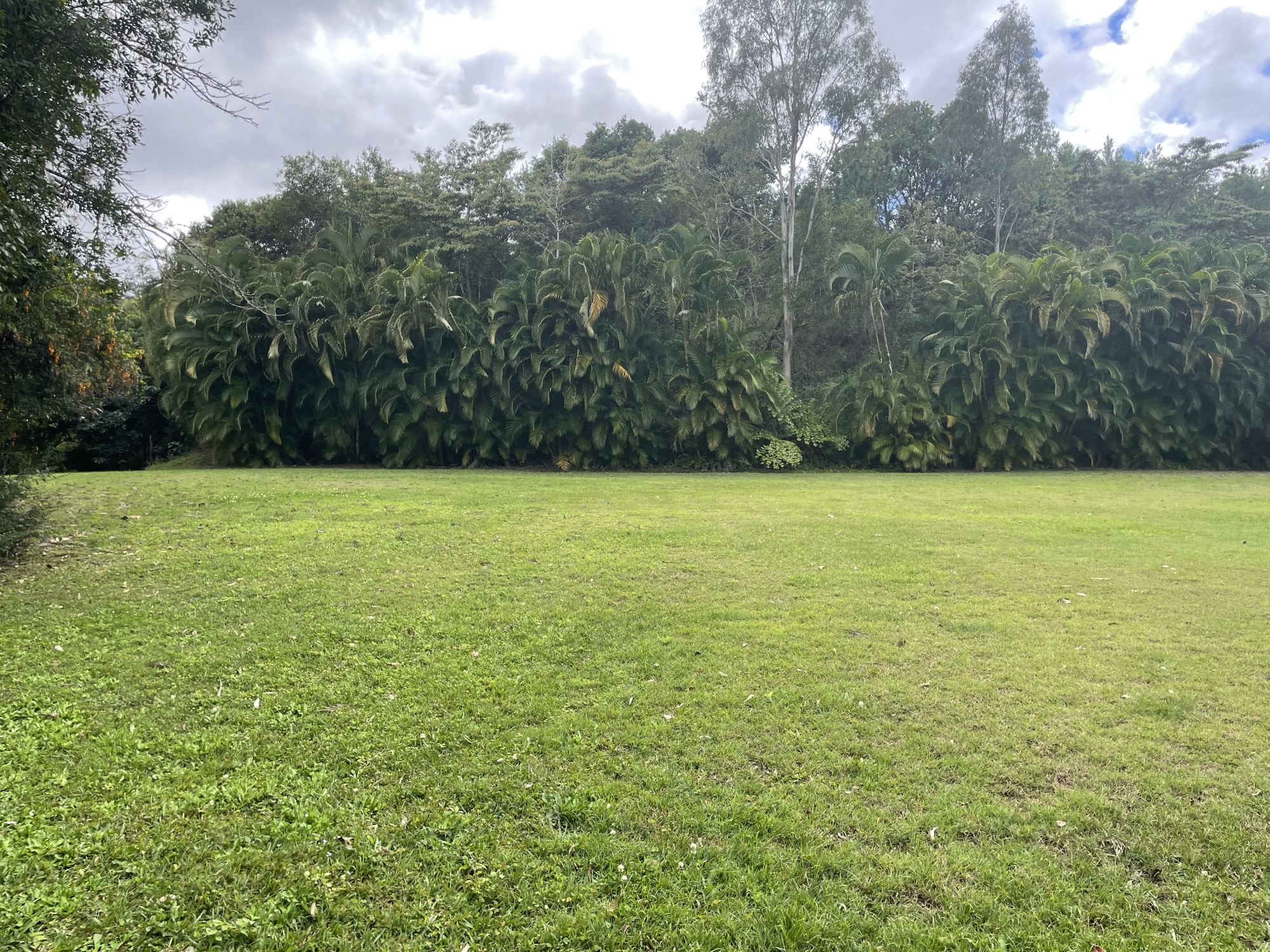 'Grasstree Rise' — photo 4 of 5