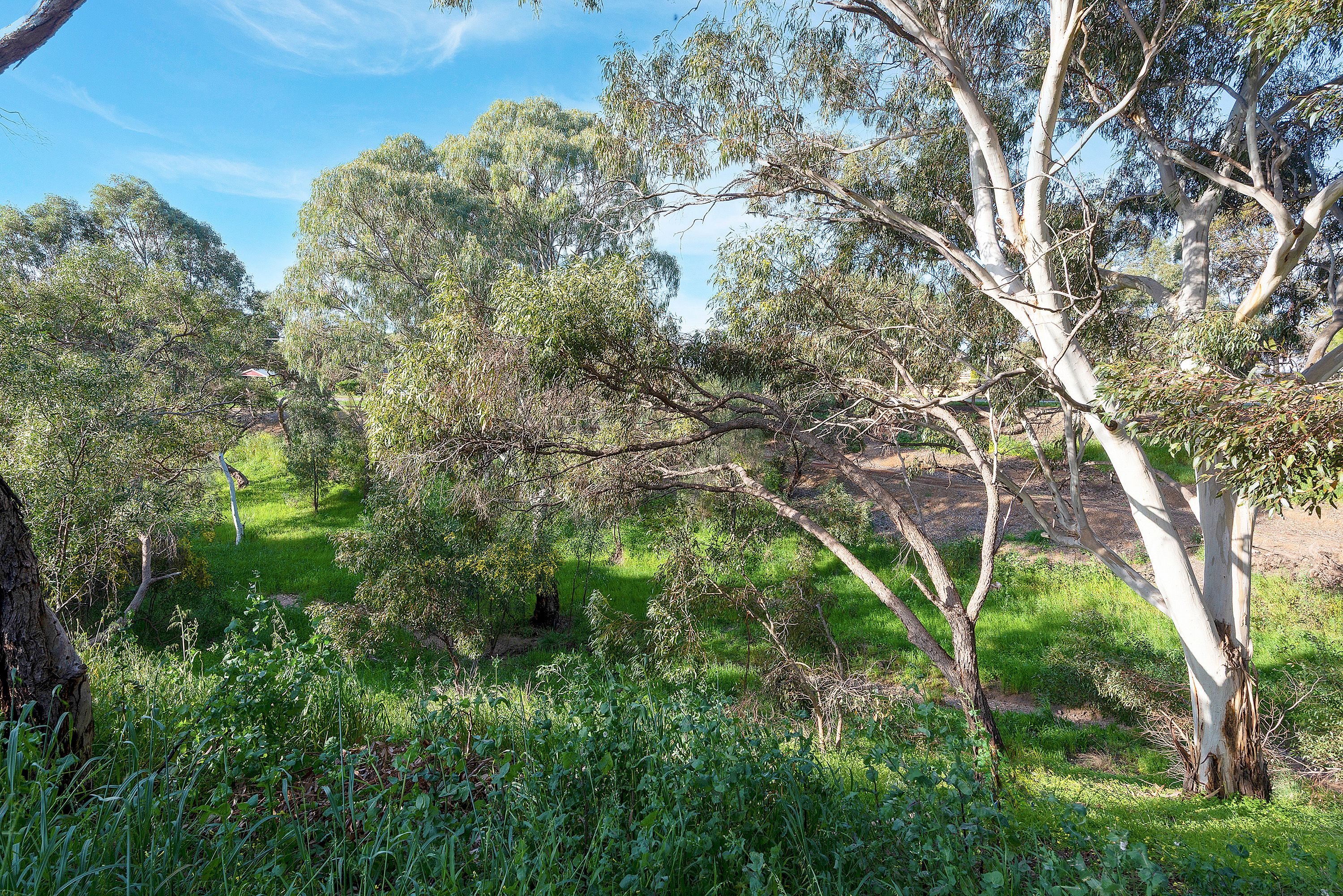13A Campbell Drive — photo 18 of 19