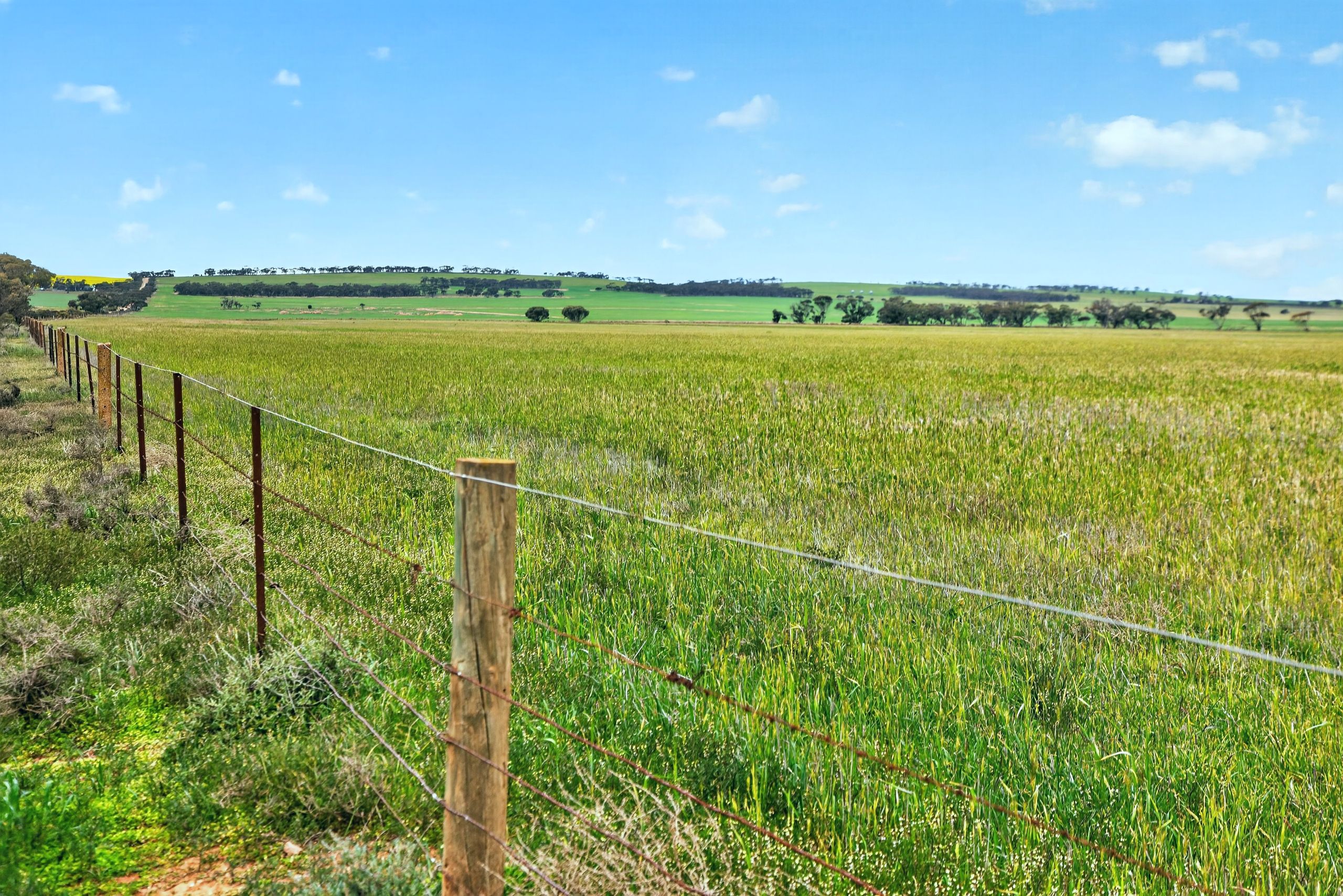 'Milde's' Keller Road — photo 8 of 11