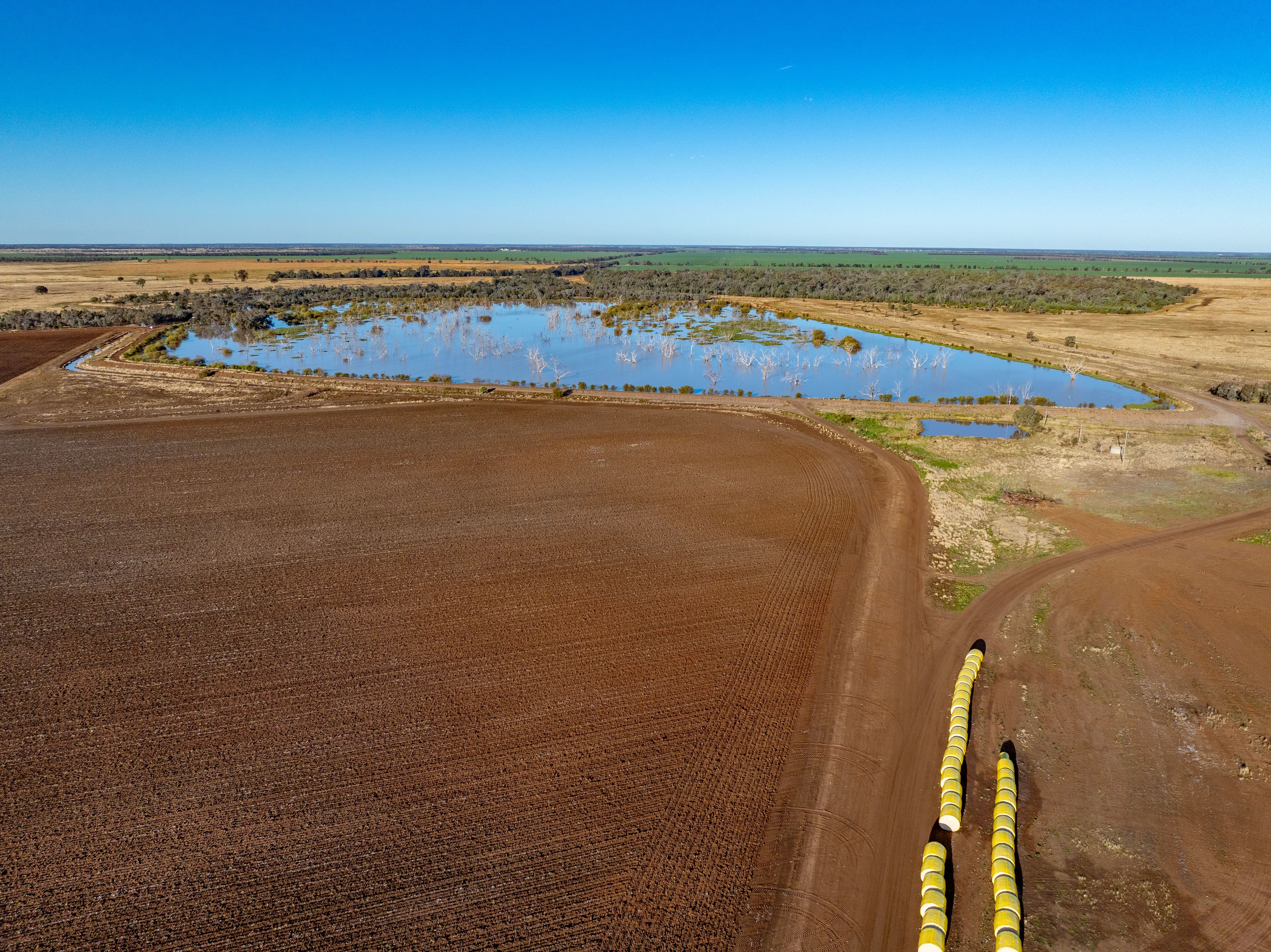 6210 Carnarvon Highway, Thallon, QLD 4497