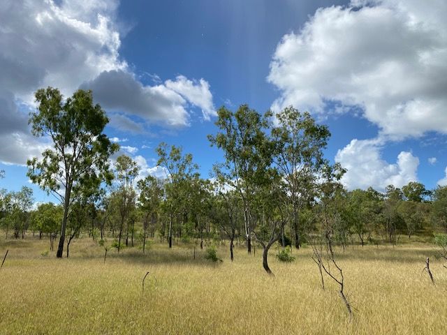 51 Spring Creek Road,, Wycarbah, QLD 4702