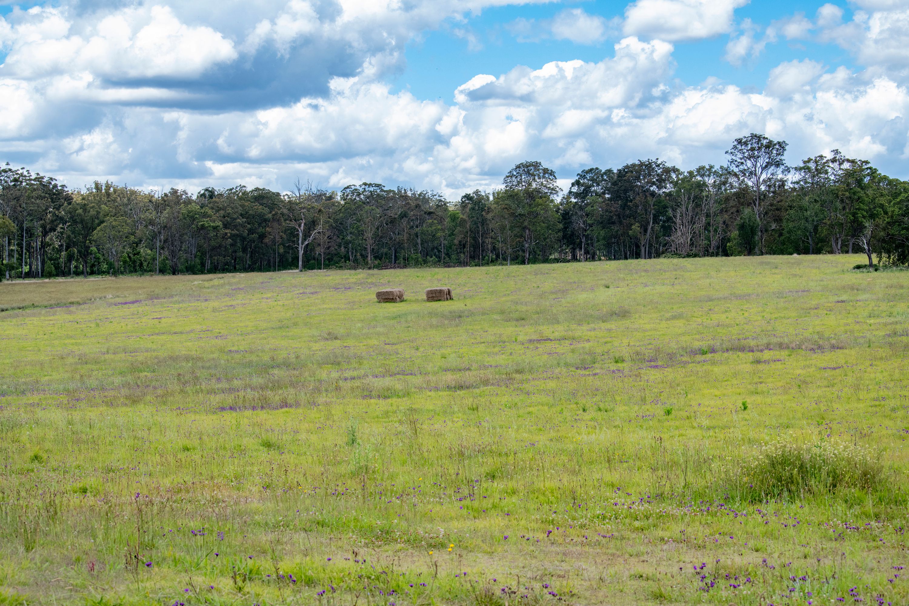 0 Aberdein Road, Mount Luke, QLD 4352