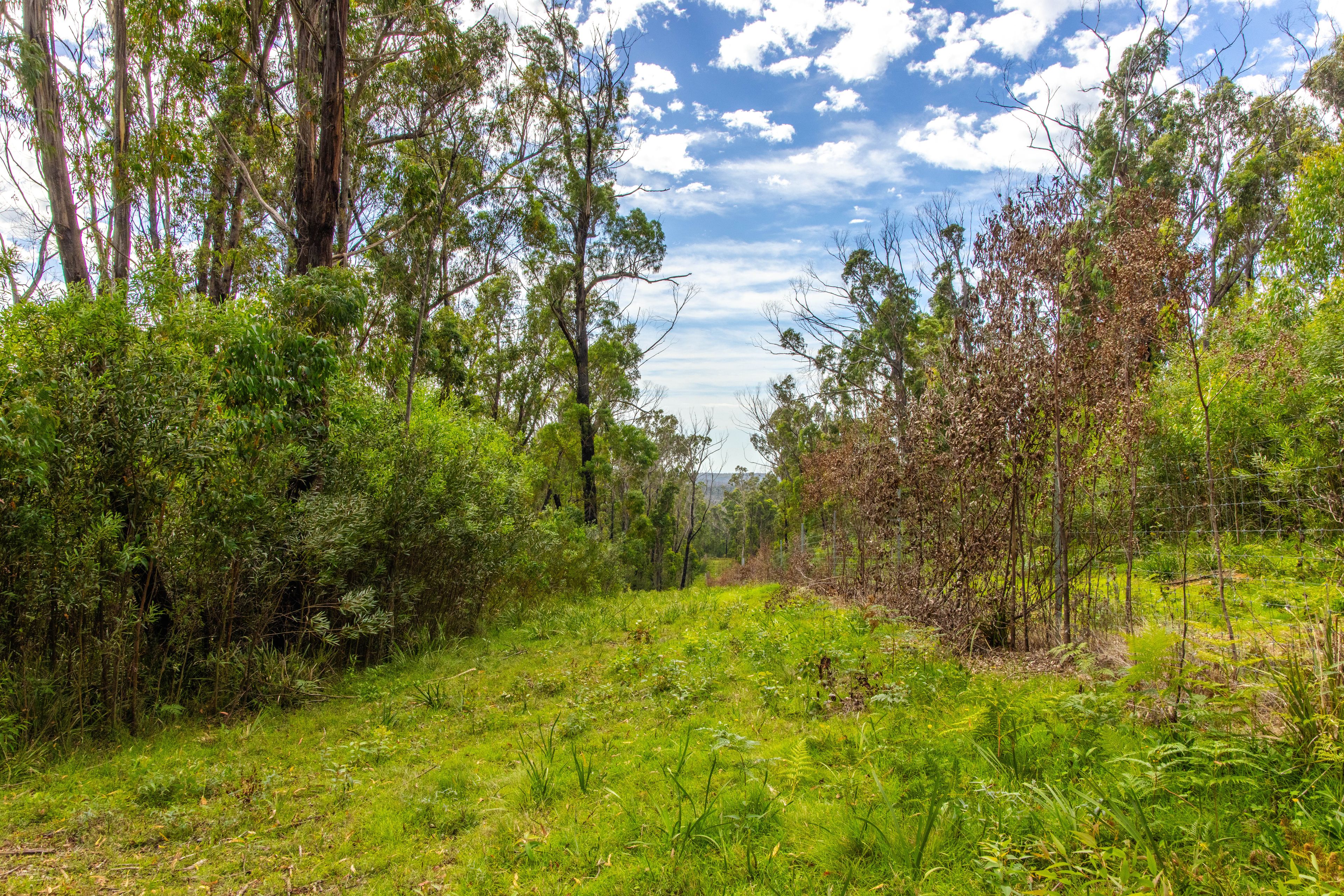 Lot 4 Braidwood Road — photo 11 of 17