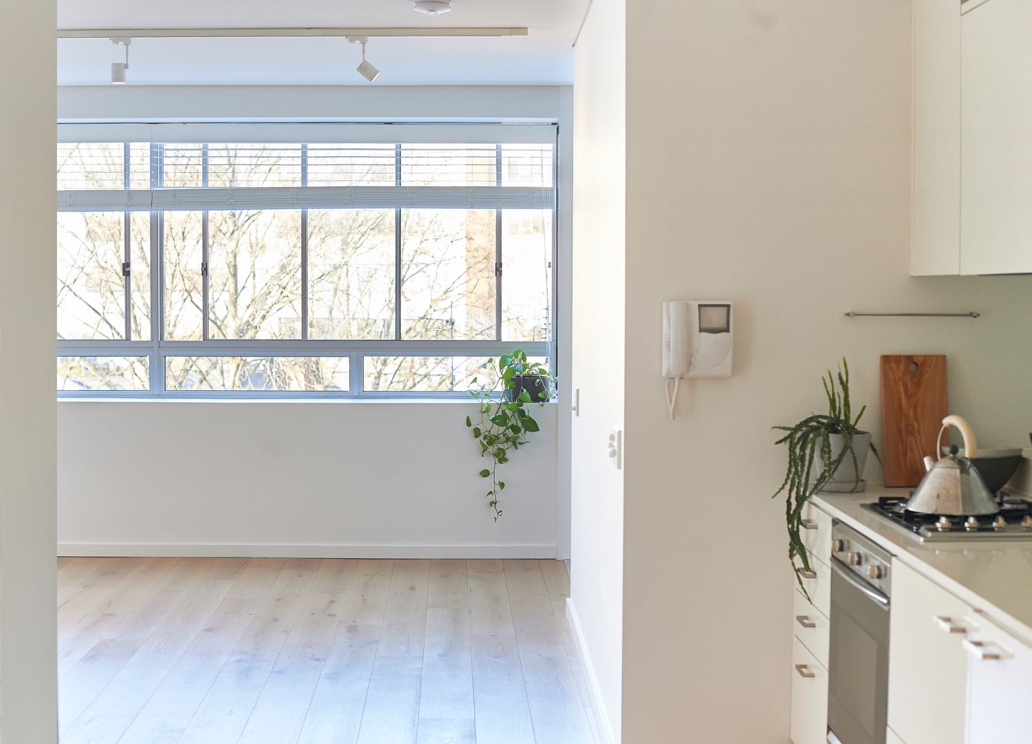 502/47 Cooper Street, Surry Hills, NSW 2010