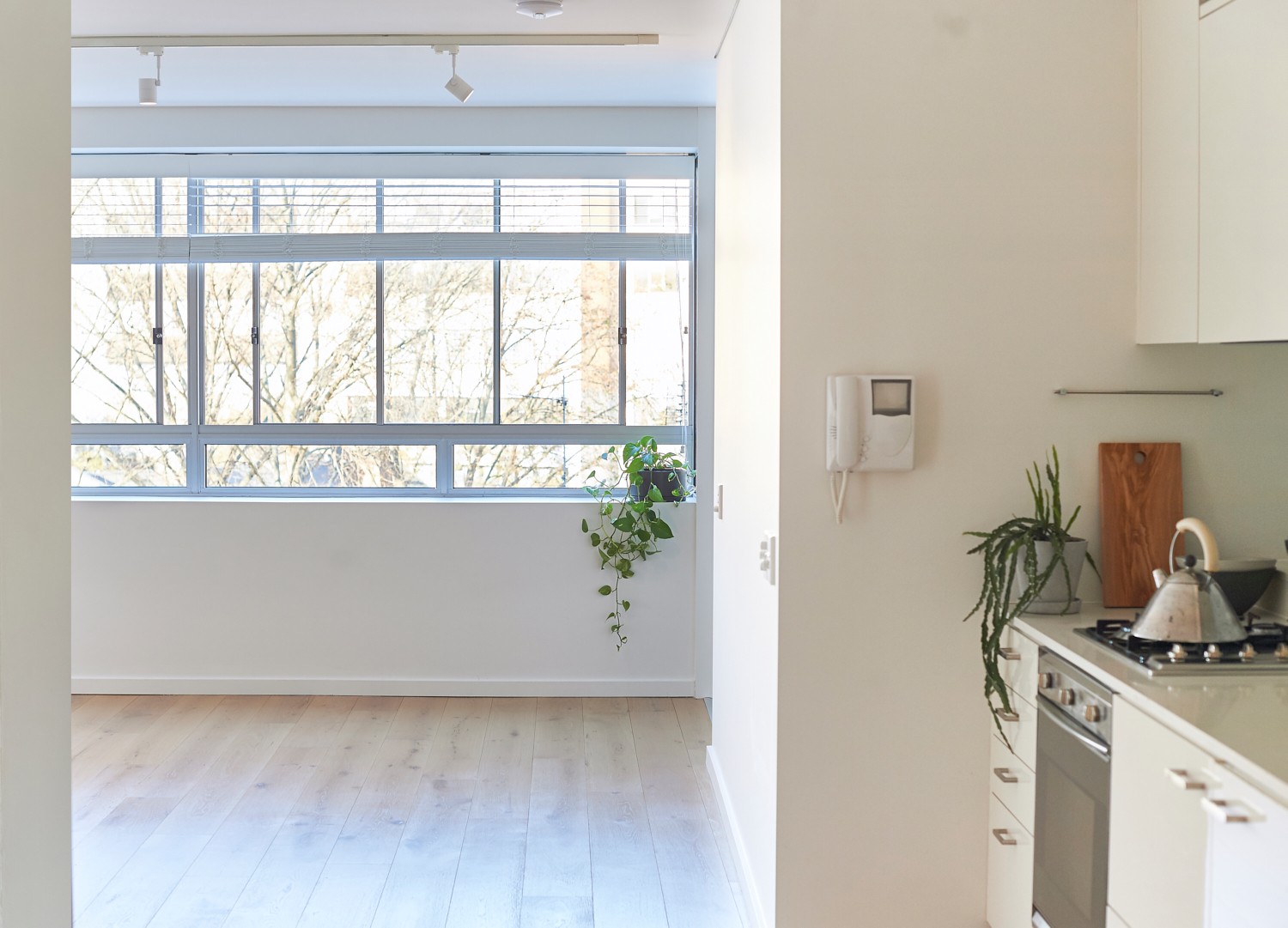 502/47 Cooper Street, Surry Hills, NSW 2010