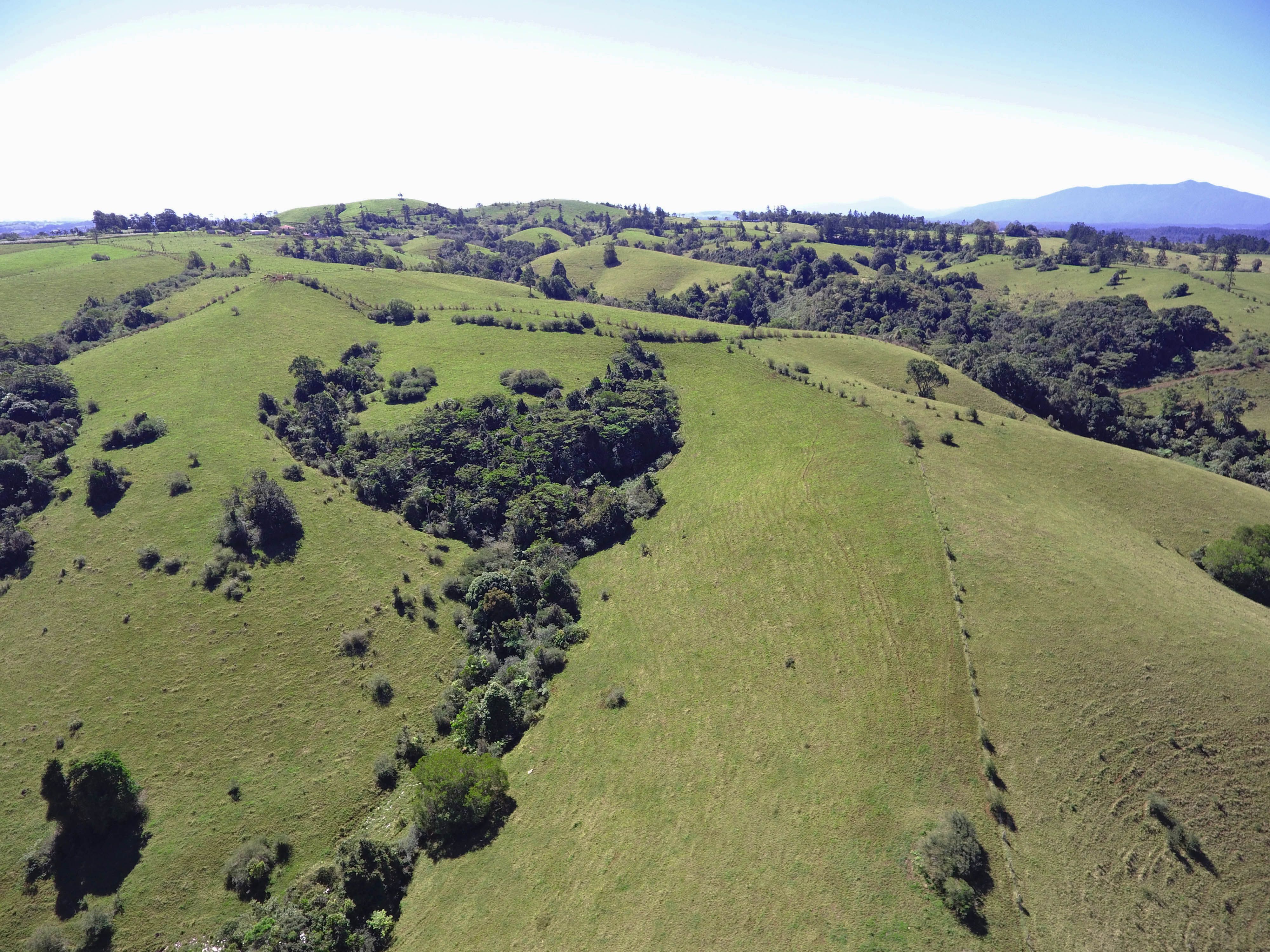 ROLLING GREEN HILLS — photo 7 of 8