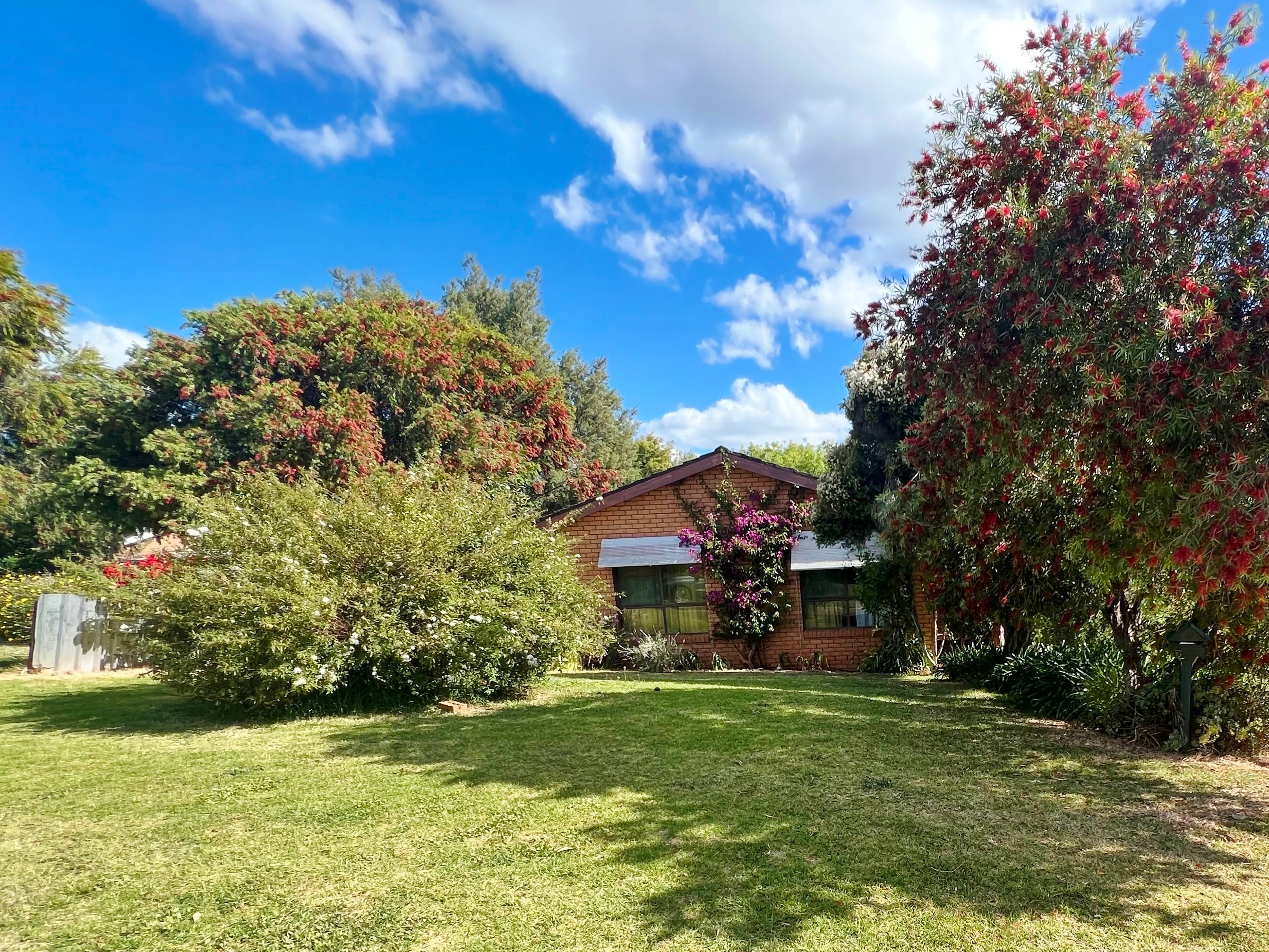8 Dwyer Drive, Young NSW 2594