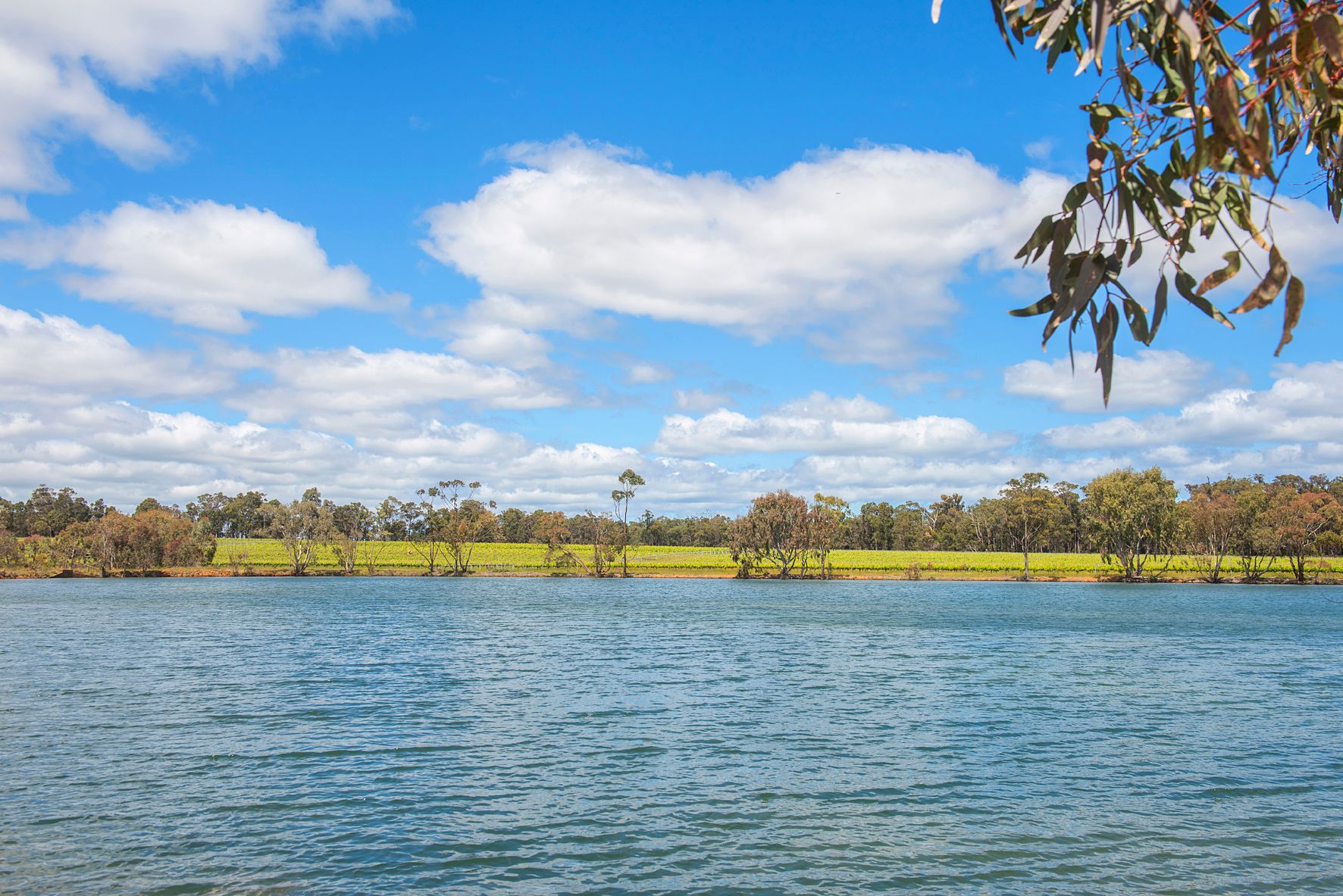 3/224 Clews Road, Cowaramup, WA 6284 Rural Viticulture Property for