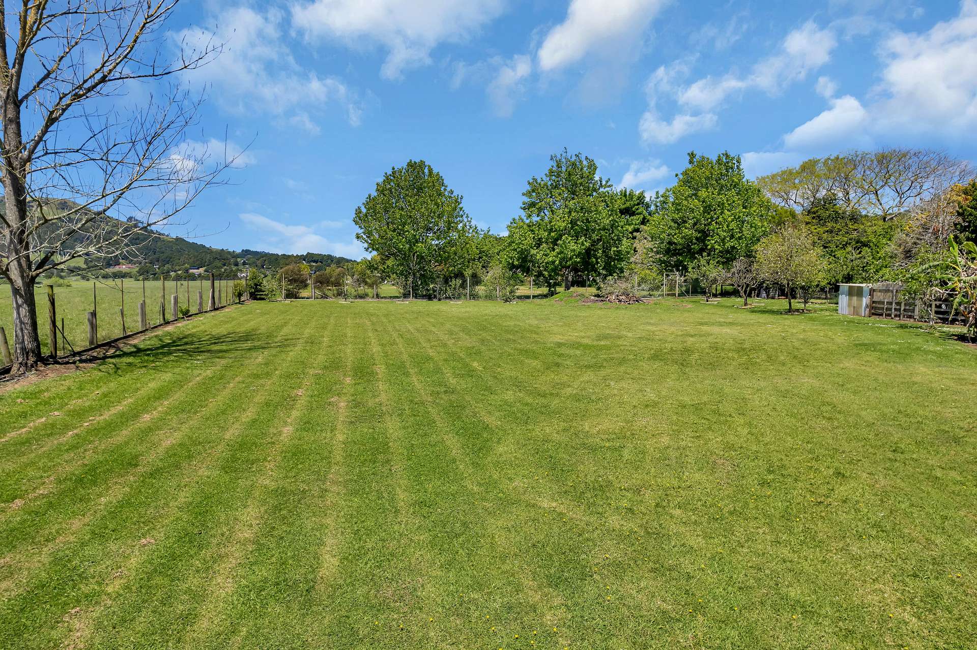 44 Waipapa Road photo 33