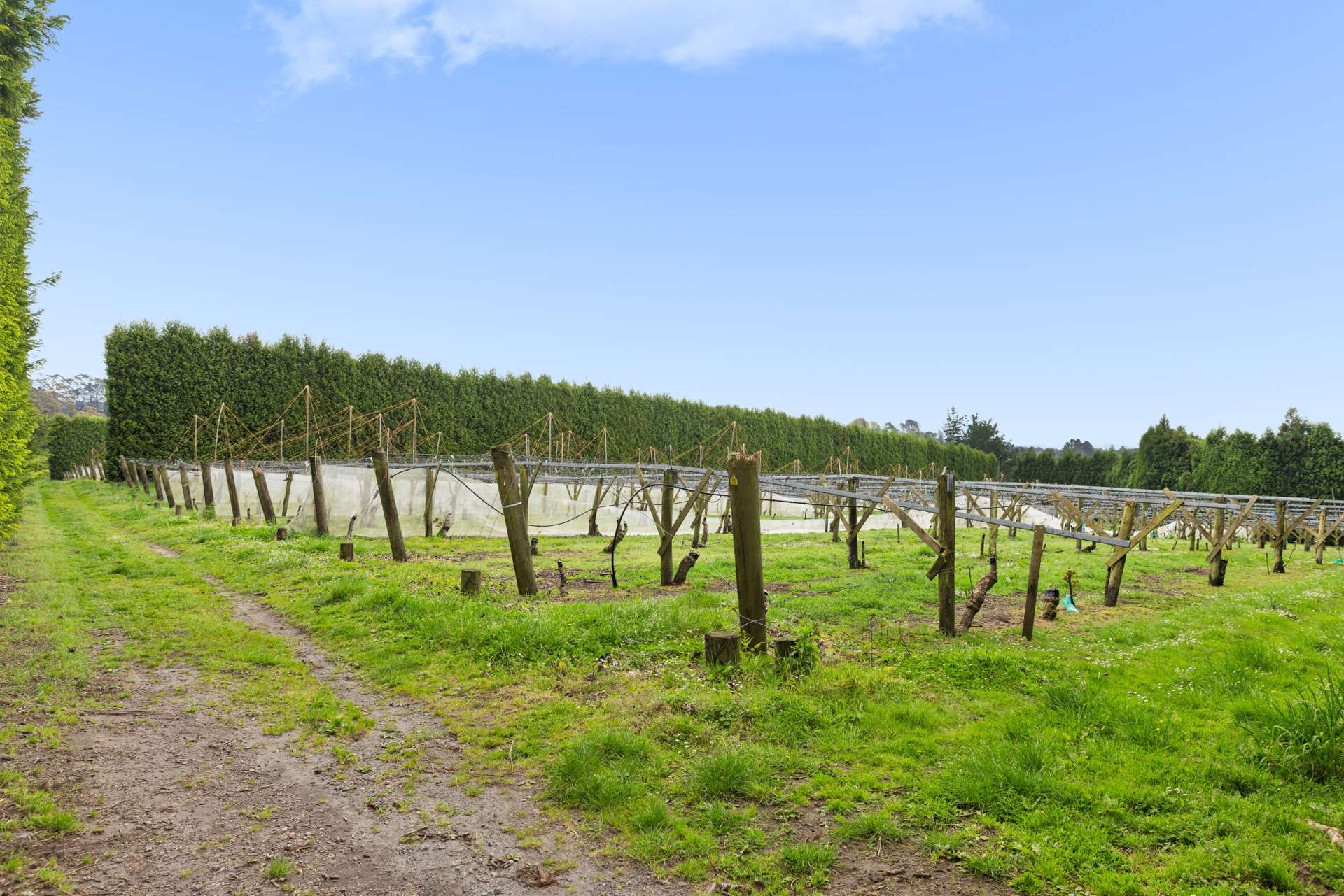 Lot 4/1010 Te Matai Road photo 3