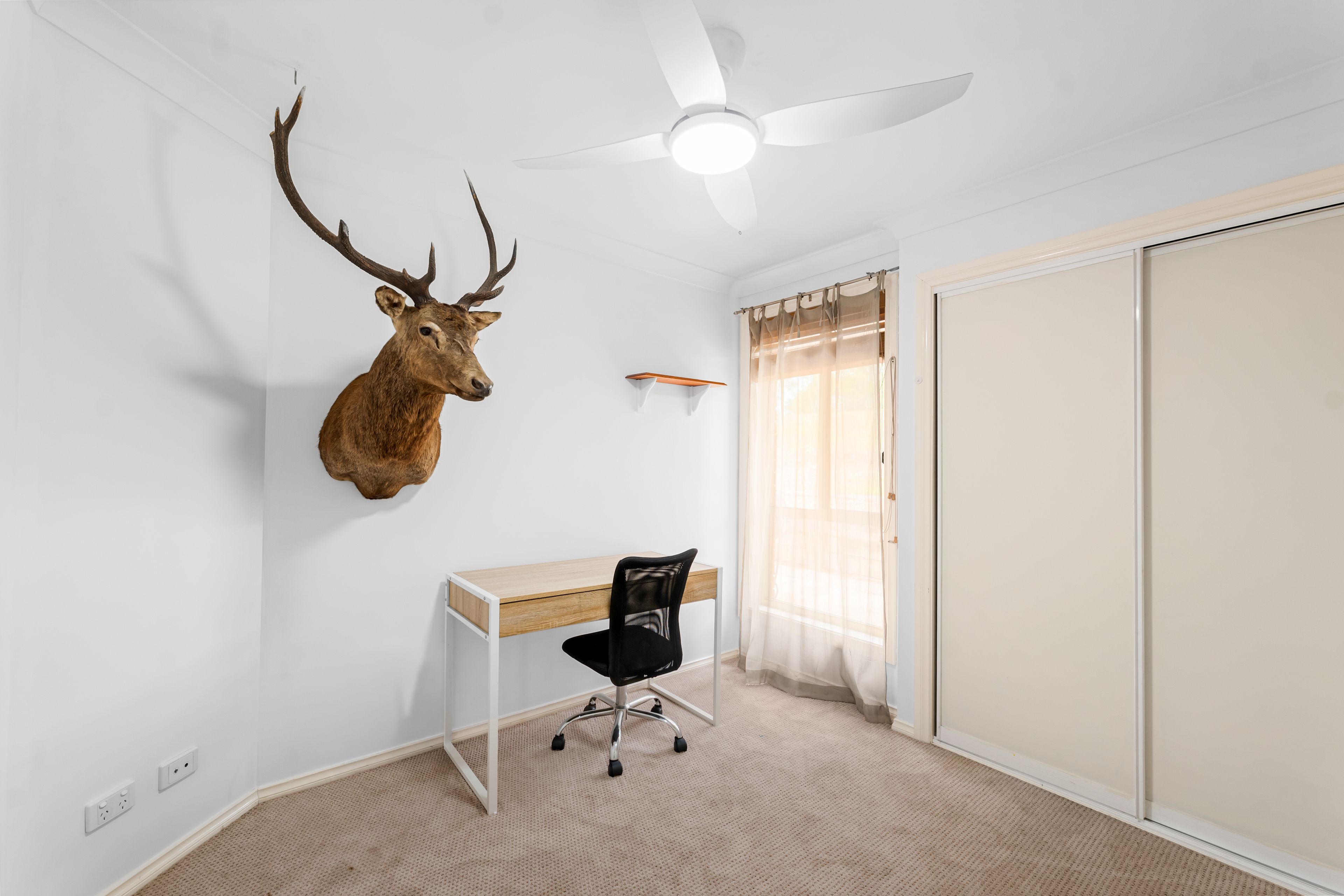 88 Gaggin Street — photo 15 of 30