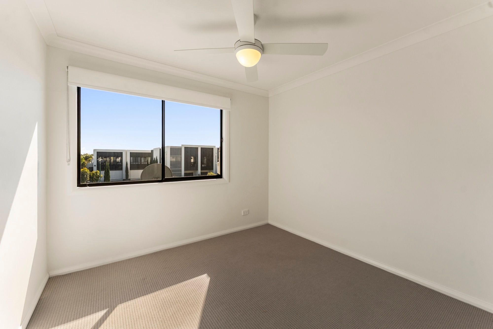 33 Napier Avenue — photo 13 of 16