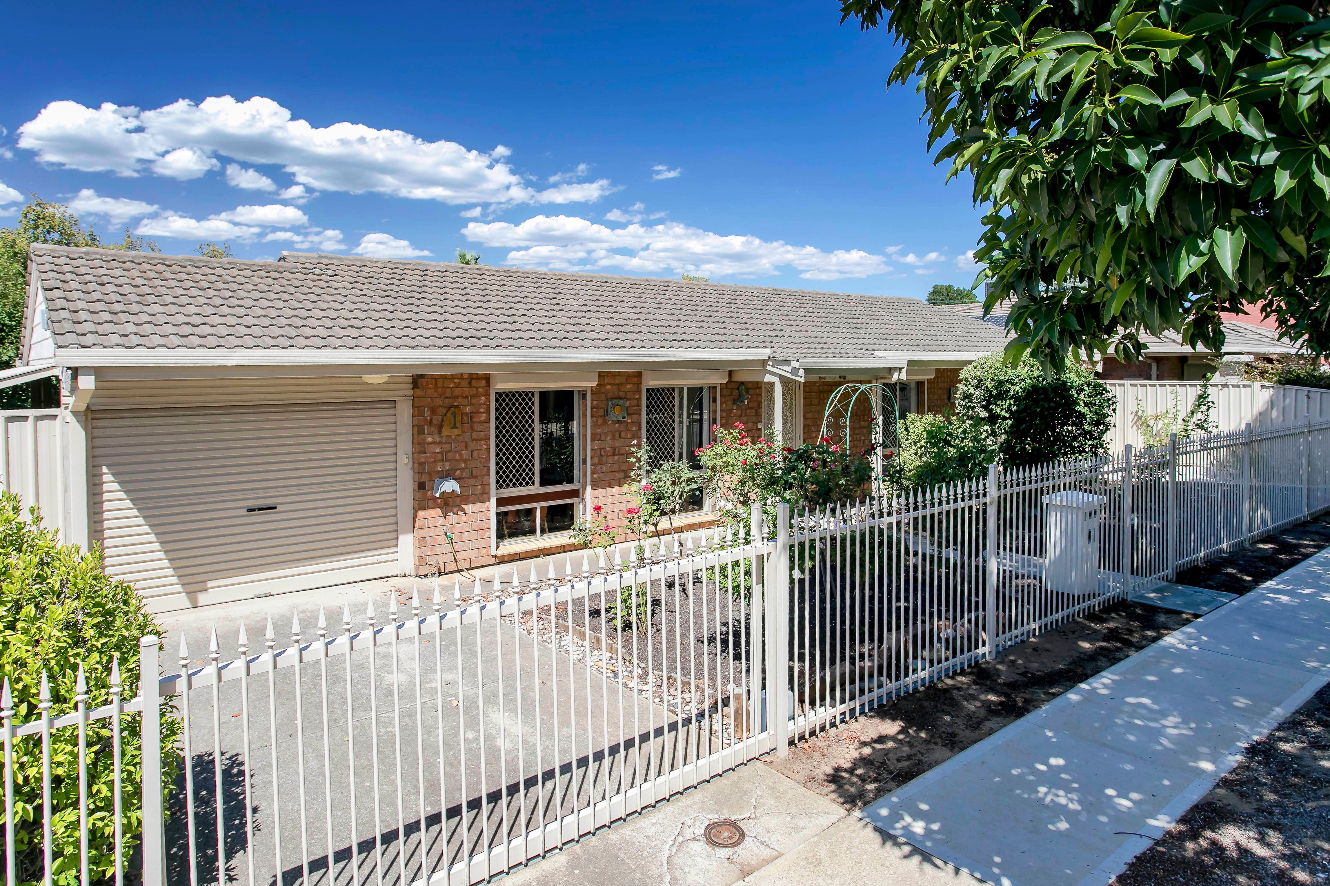 1 Walker Avenue, Clovelly Park, SA 5042