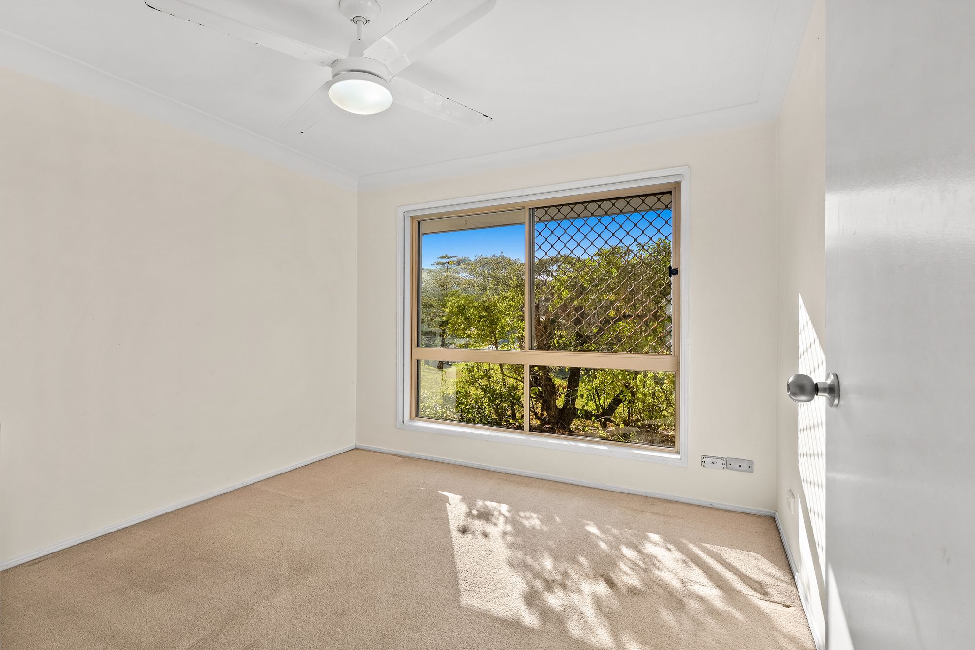 22 Mayfair Place — photo 11 of 20