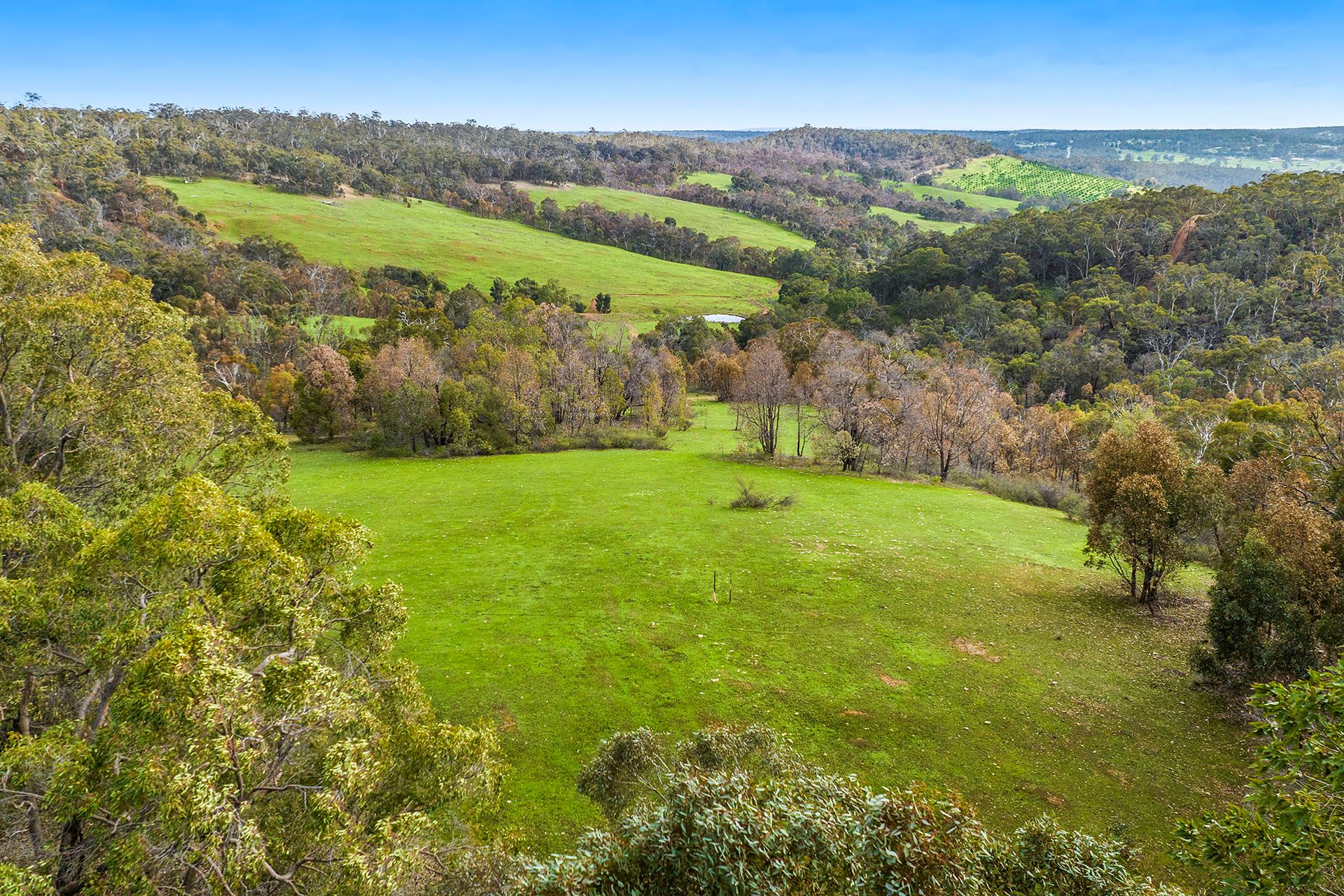 270 Turtledove Drive, Lower Chittering, WA 6084 Land for Sale Ray