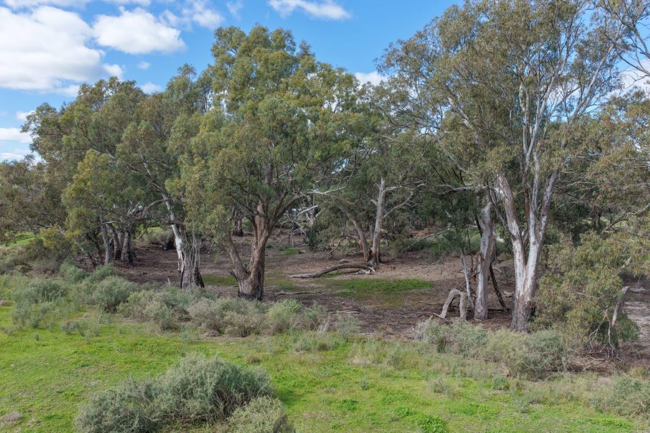 Lot 16 Hay St (otherwise known as Nomore Rd) — photo 8 of 11