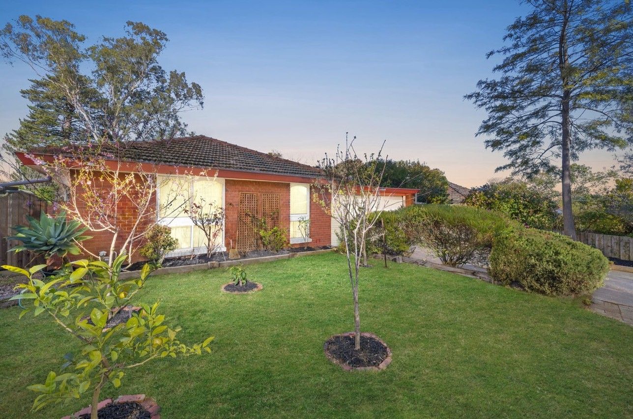 53 Bona Vista Road — photo from Ray White Judd White Group - Glen Waverley