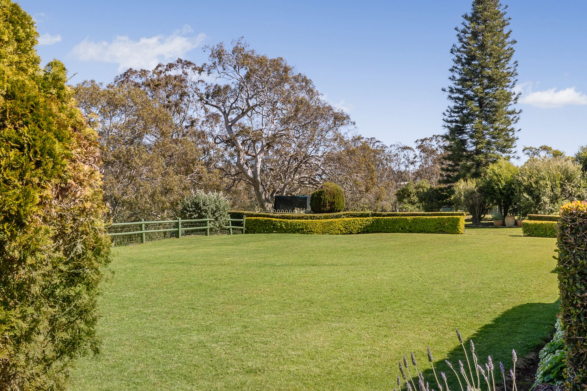 52 Charker Street — photo 21 of 24