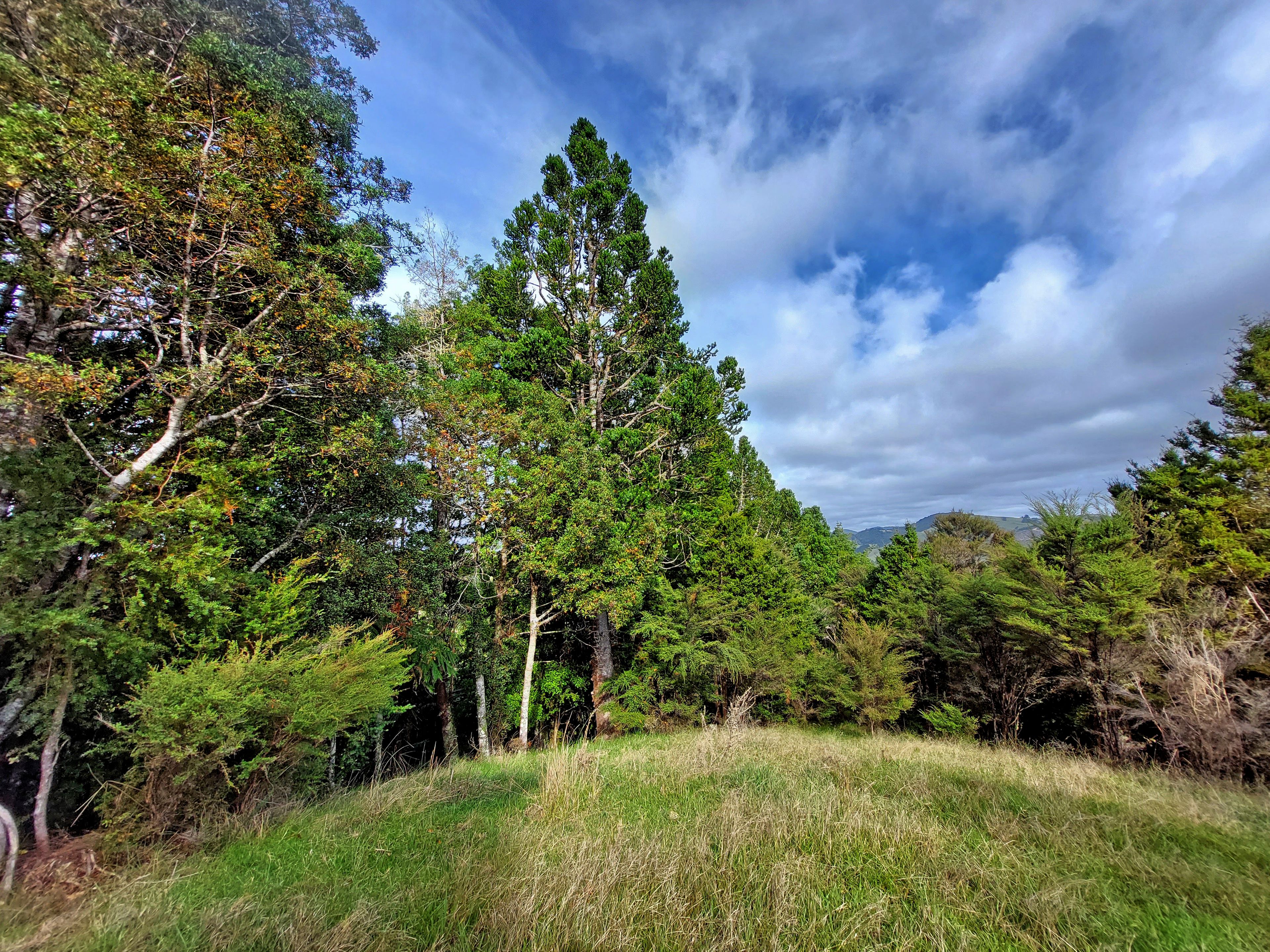 Lot 2 & 3 Tapuhi Road, Hukerenui, Northland