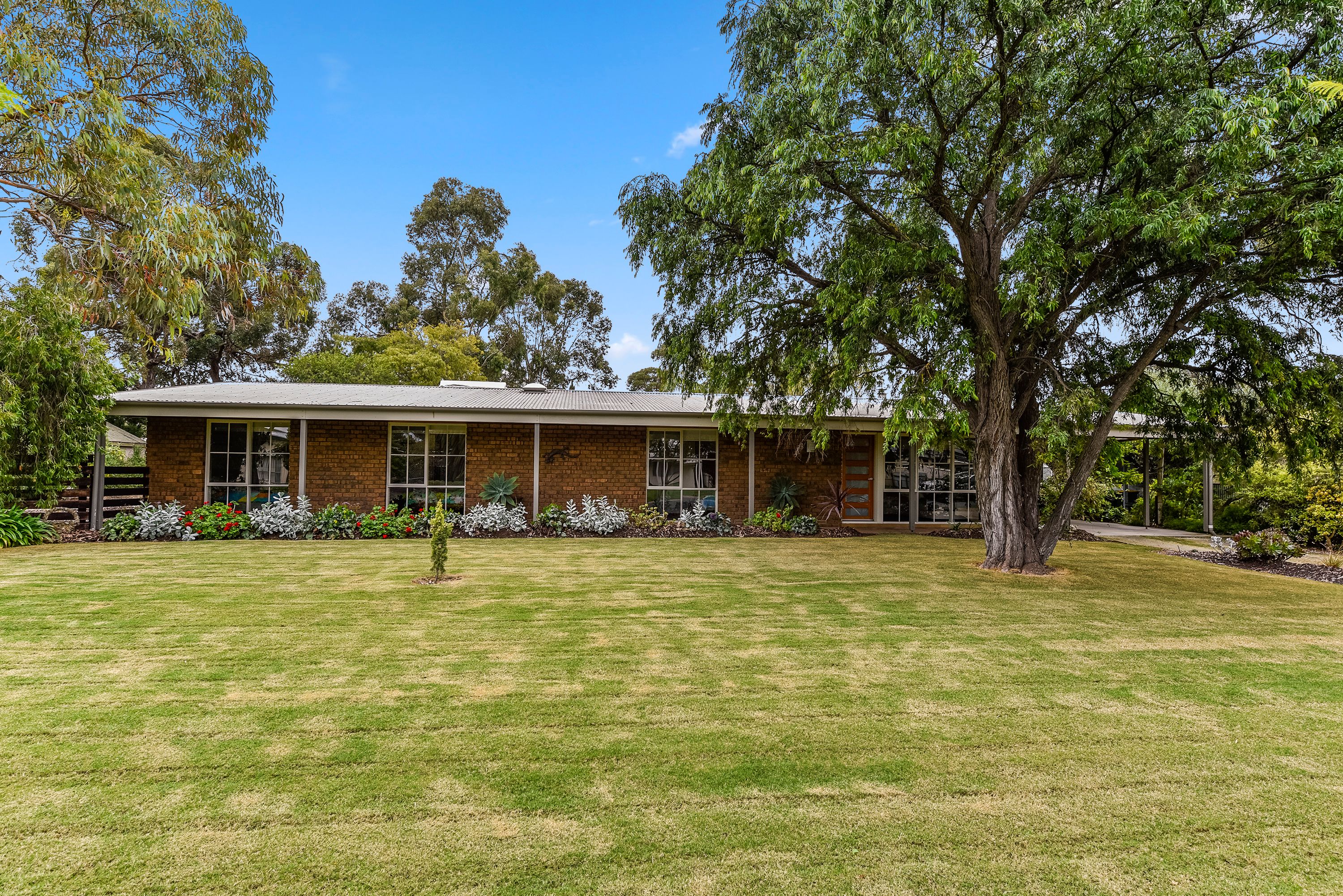 17 Buik Street, Bordertown SA 5268
