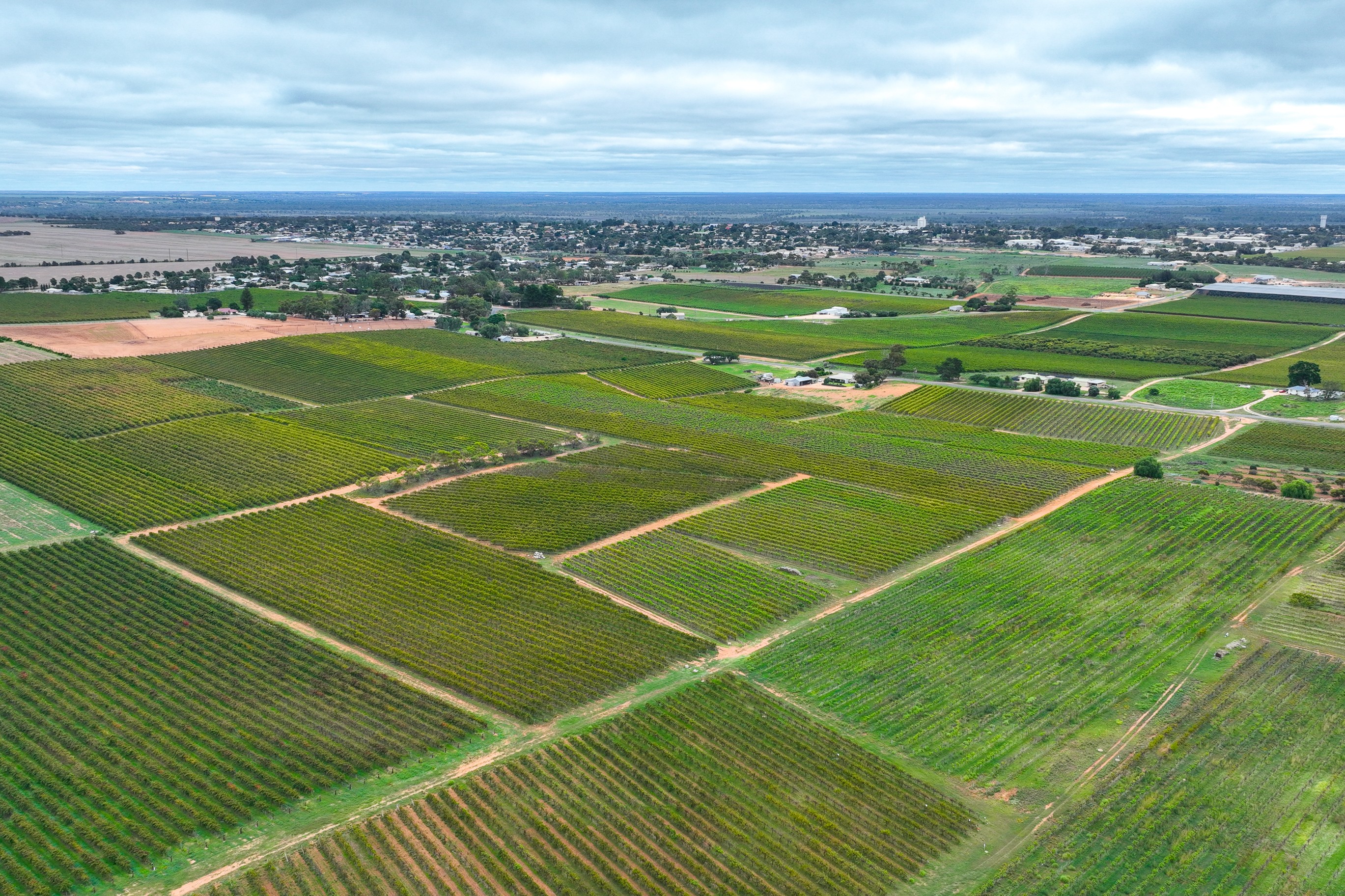 Lot 15 Rattey Road, Loxton, SA 5333