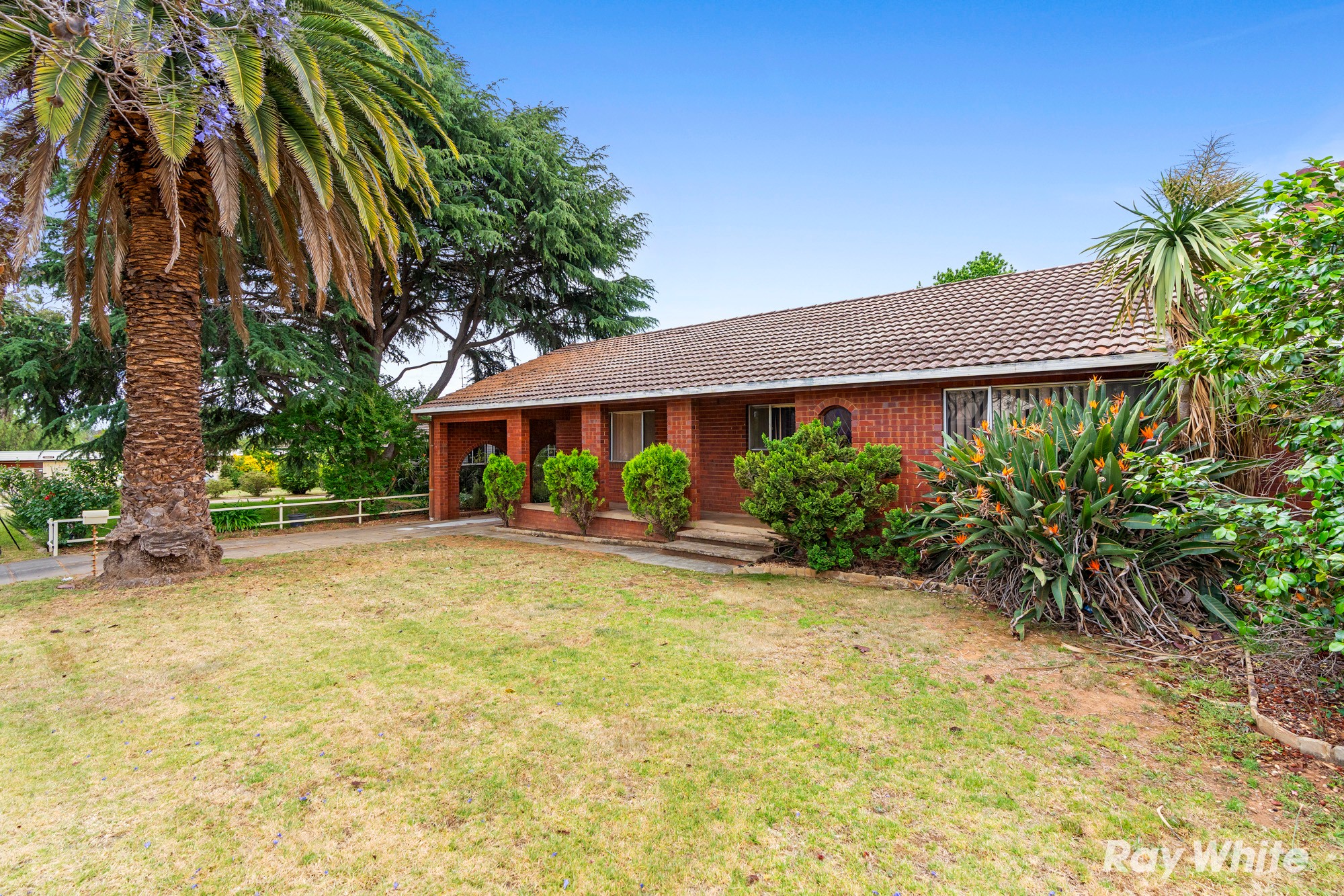 3 Moran Street, Tolland, NSW 2650
