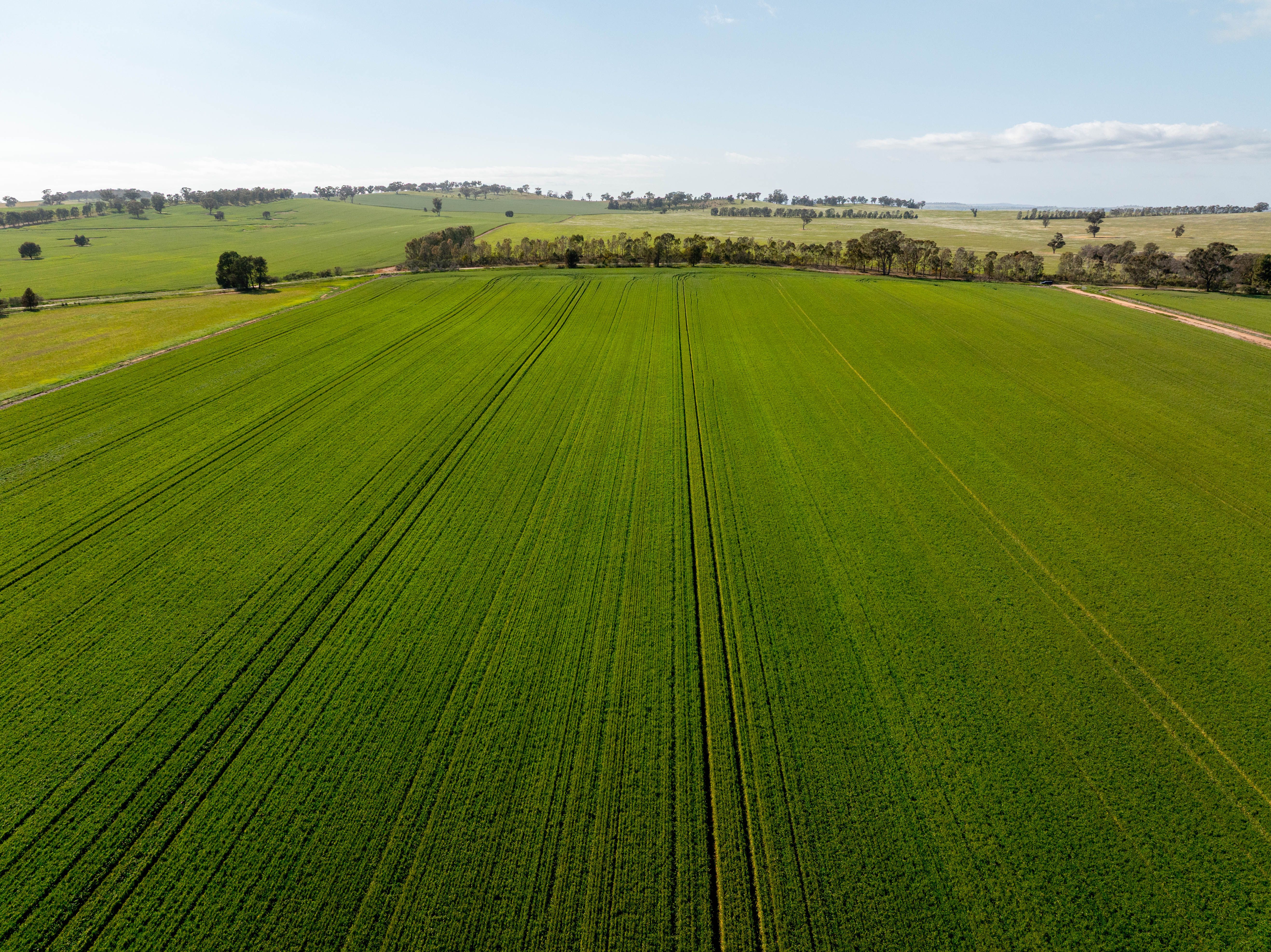 267 Gap Hall-Coolamon Road — photo 12 of 13