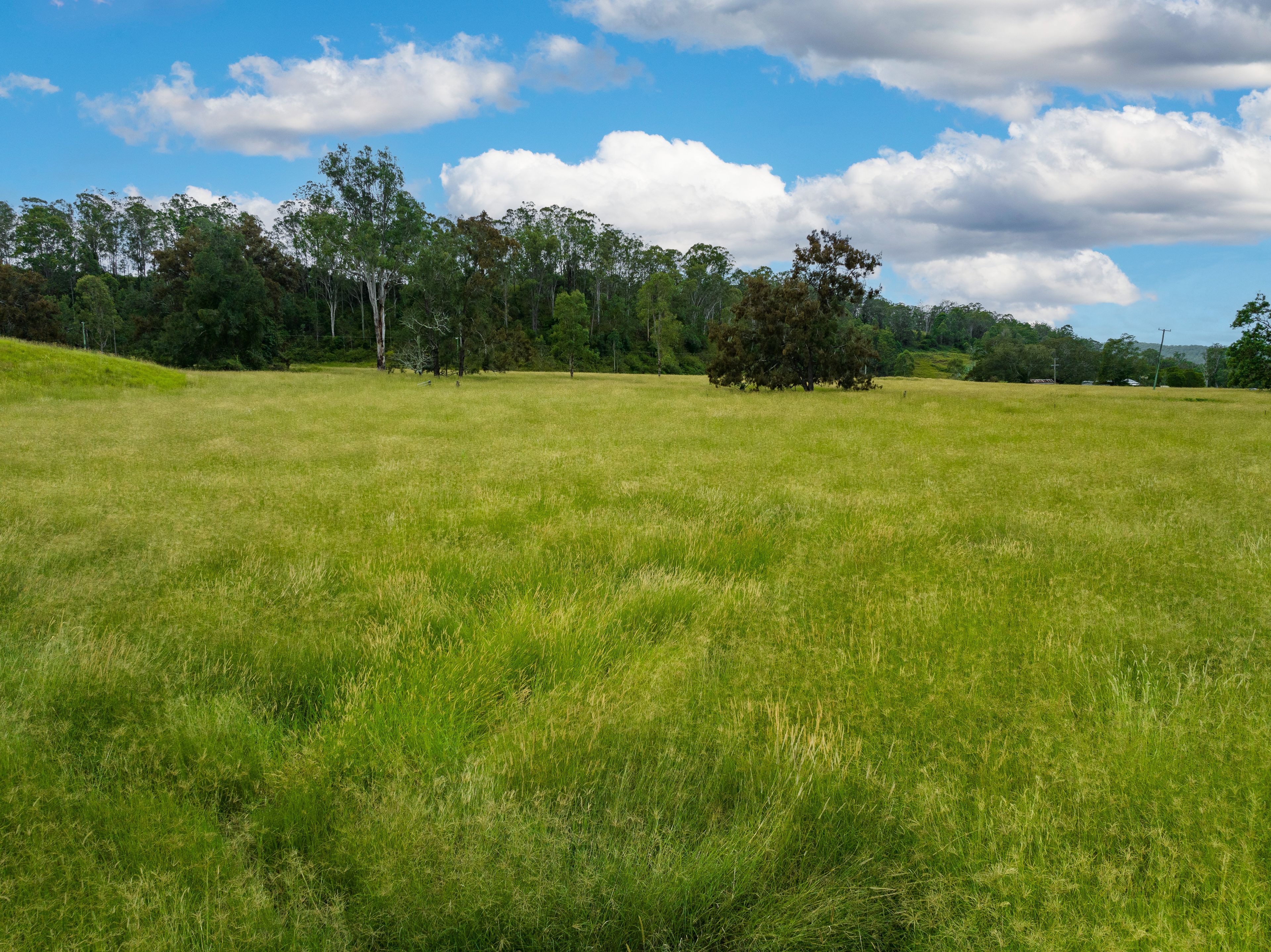 Casino, NSW 2470 Rural Property for Sale Ray White Gibbon Property