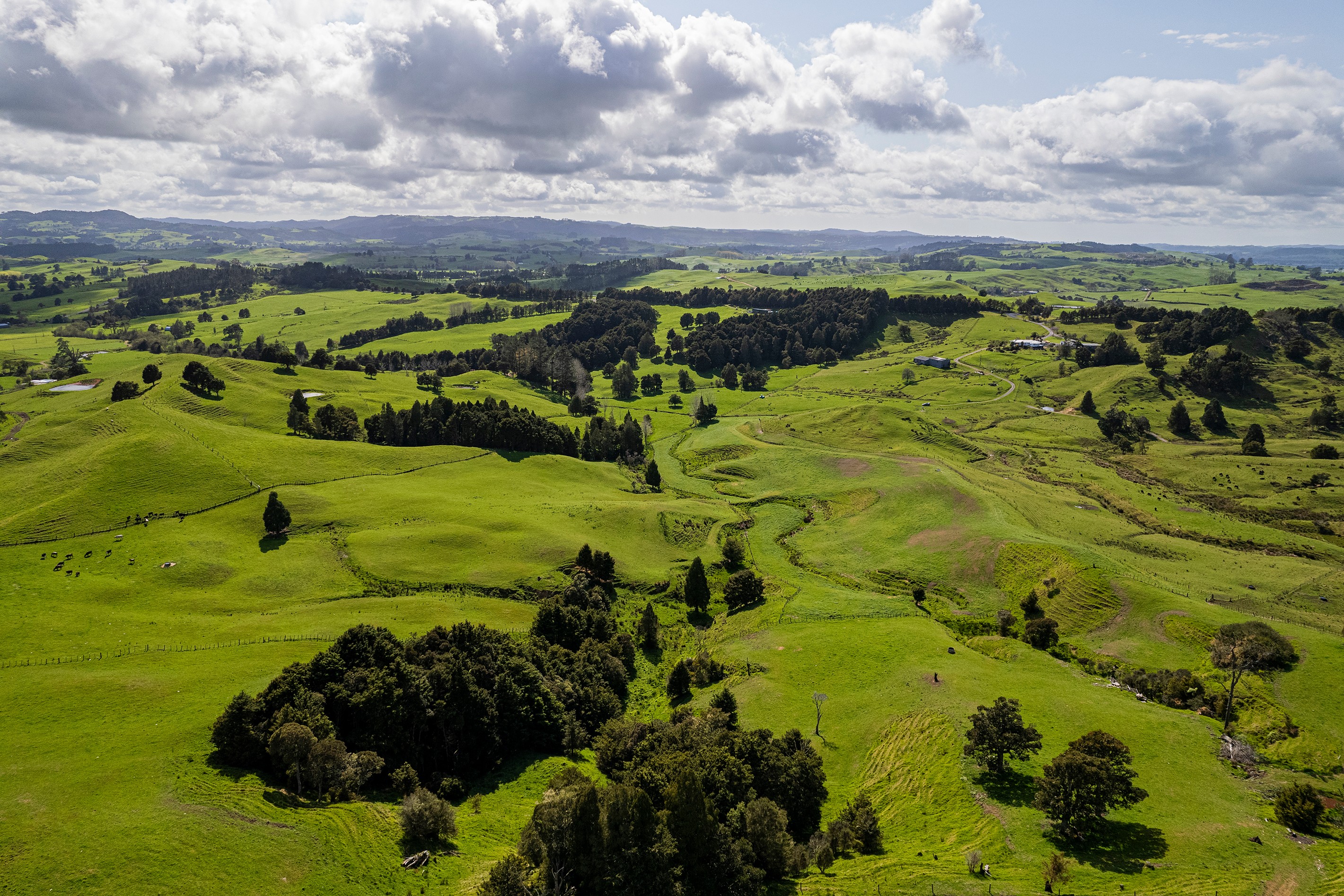 313 Paiaka Road, Towai, Far North District