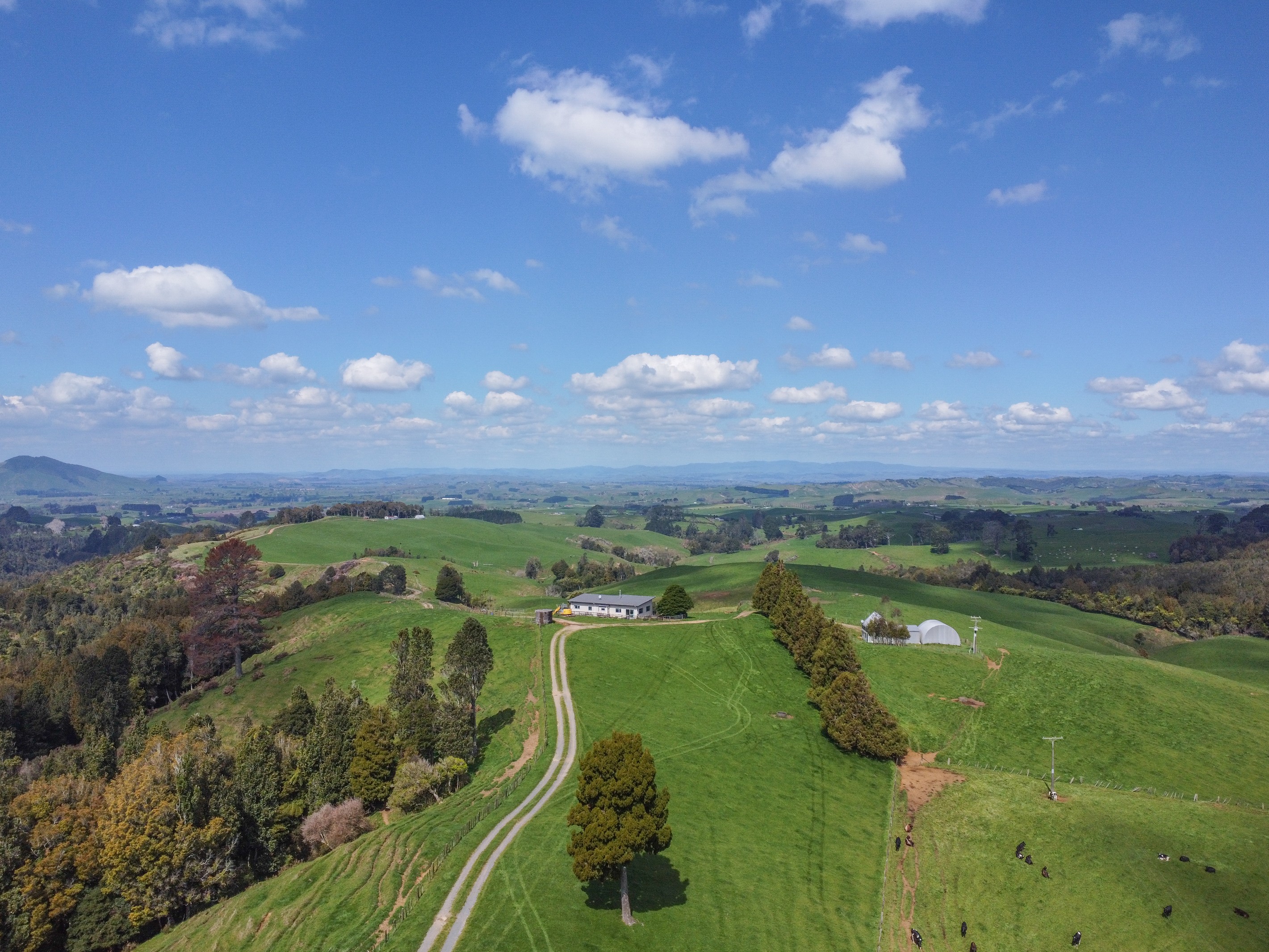 870 Mangati Road, Pirongia, Waipa District