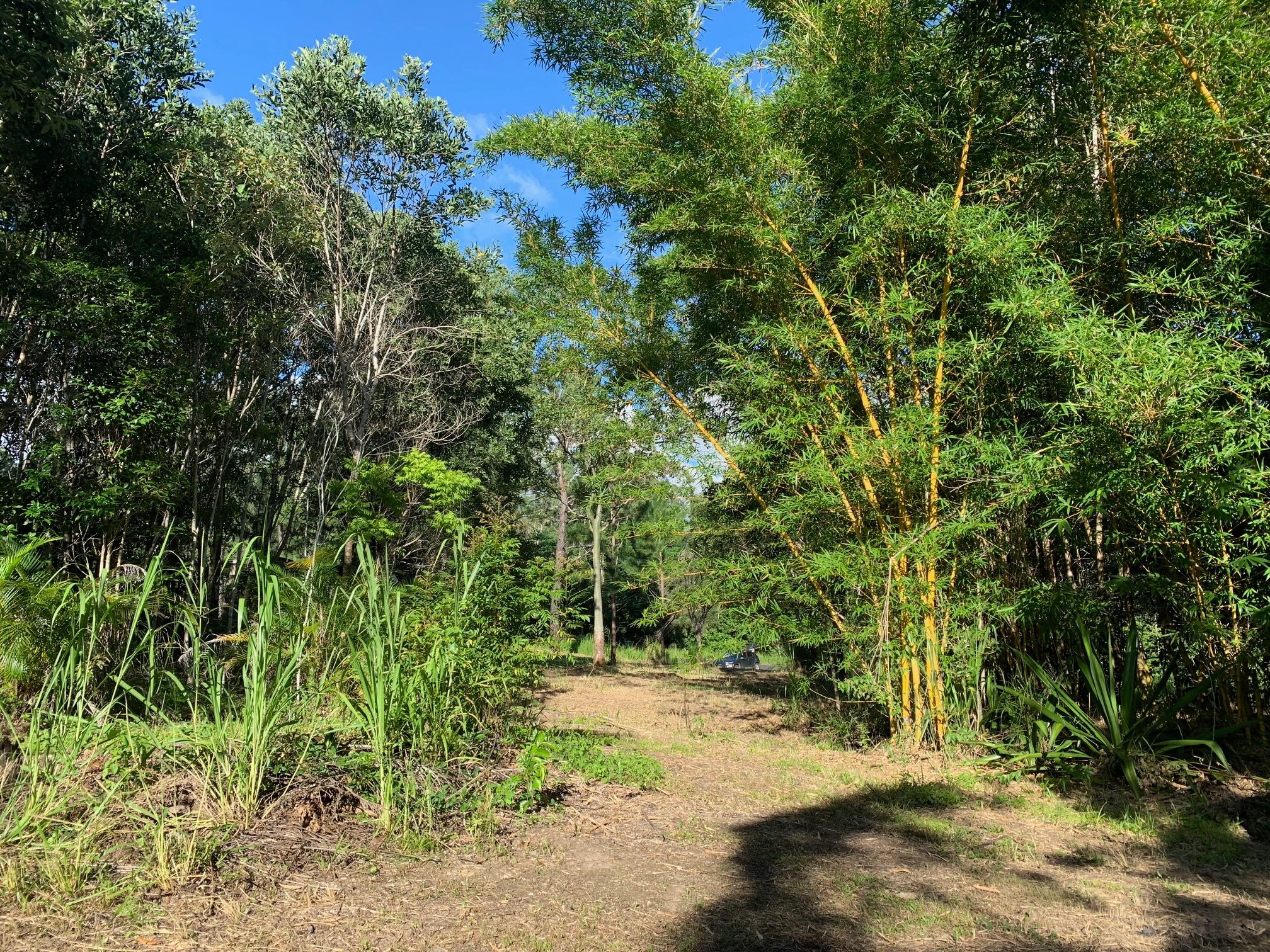 Lot 120 Ganyan Drive, Speewah, QLD 4881
