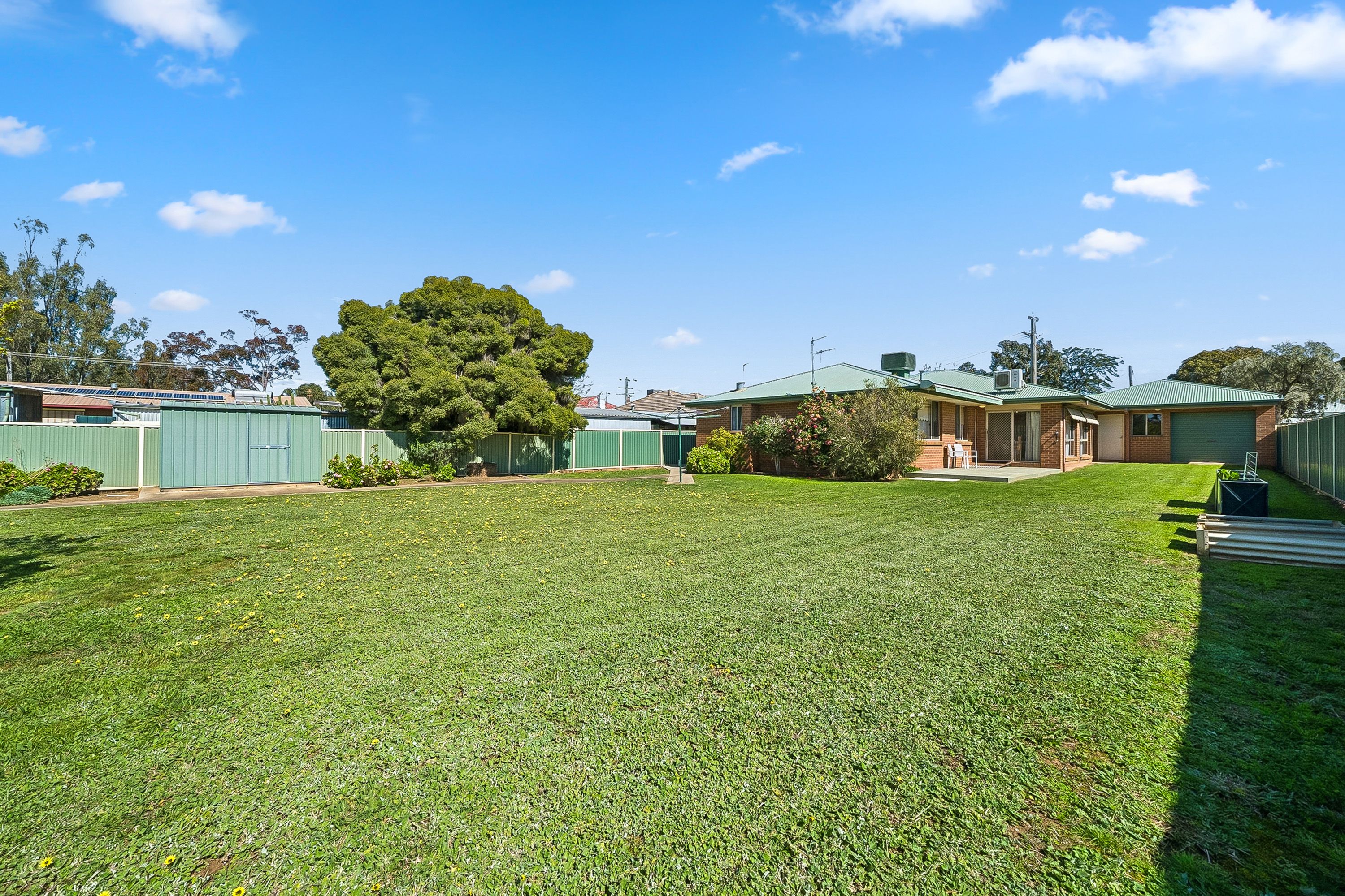 29 Impey Street — photo 11 of 13