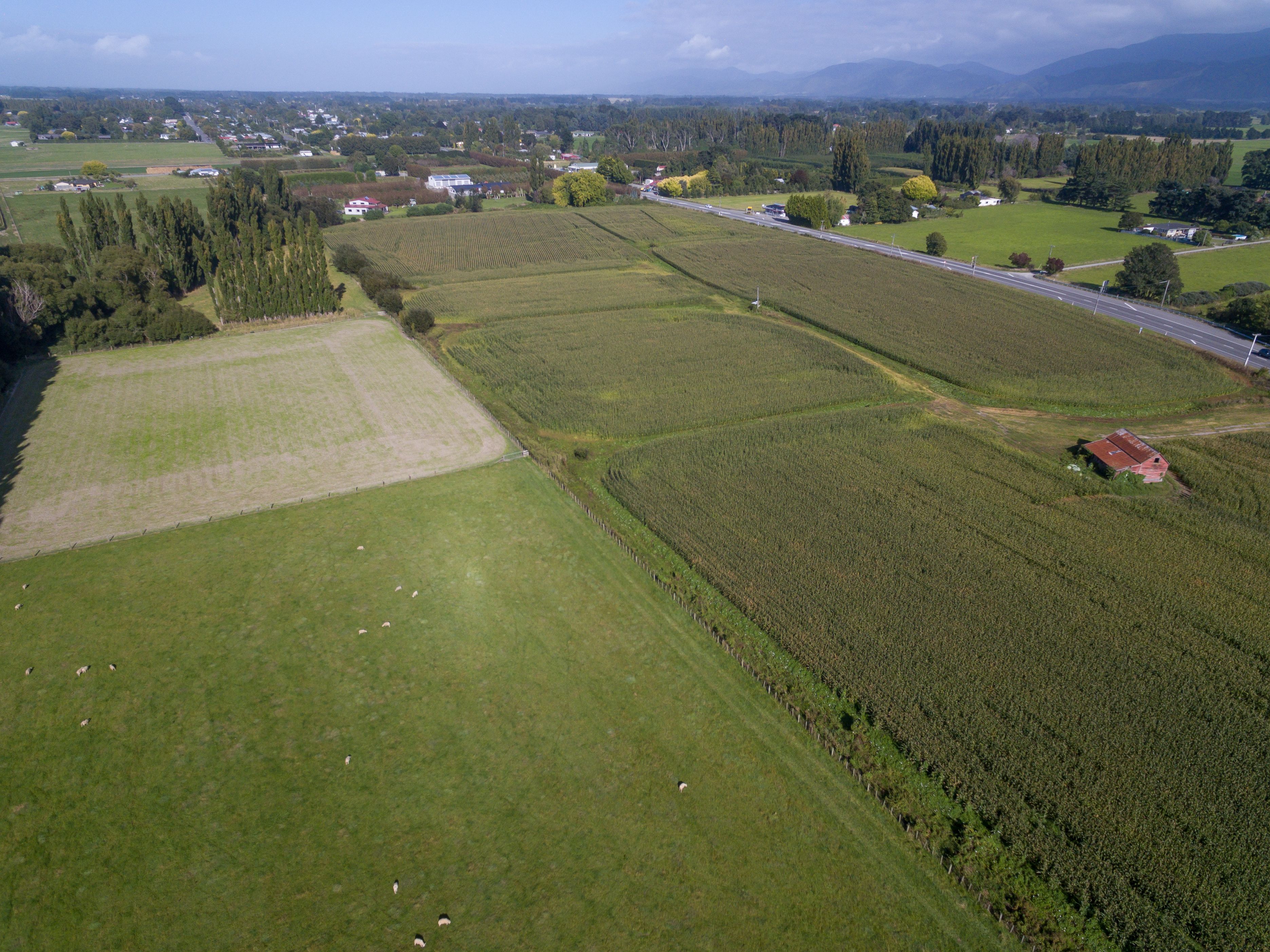 Greytown, South Wairarapa District