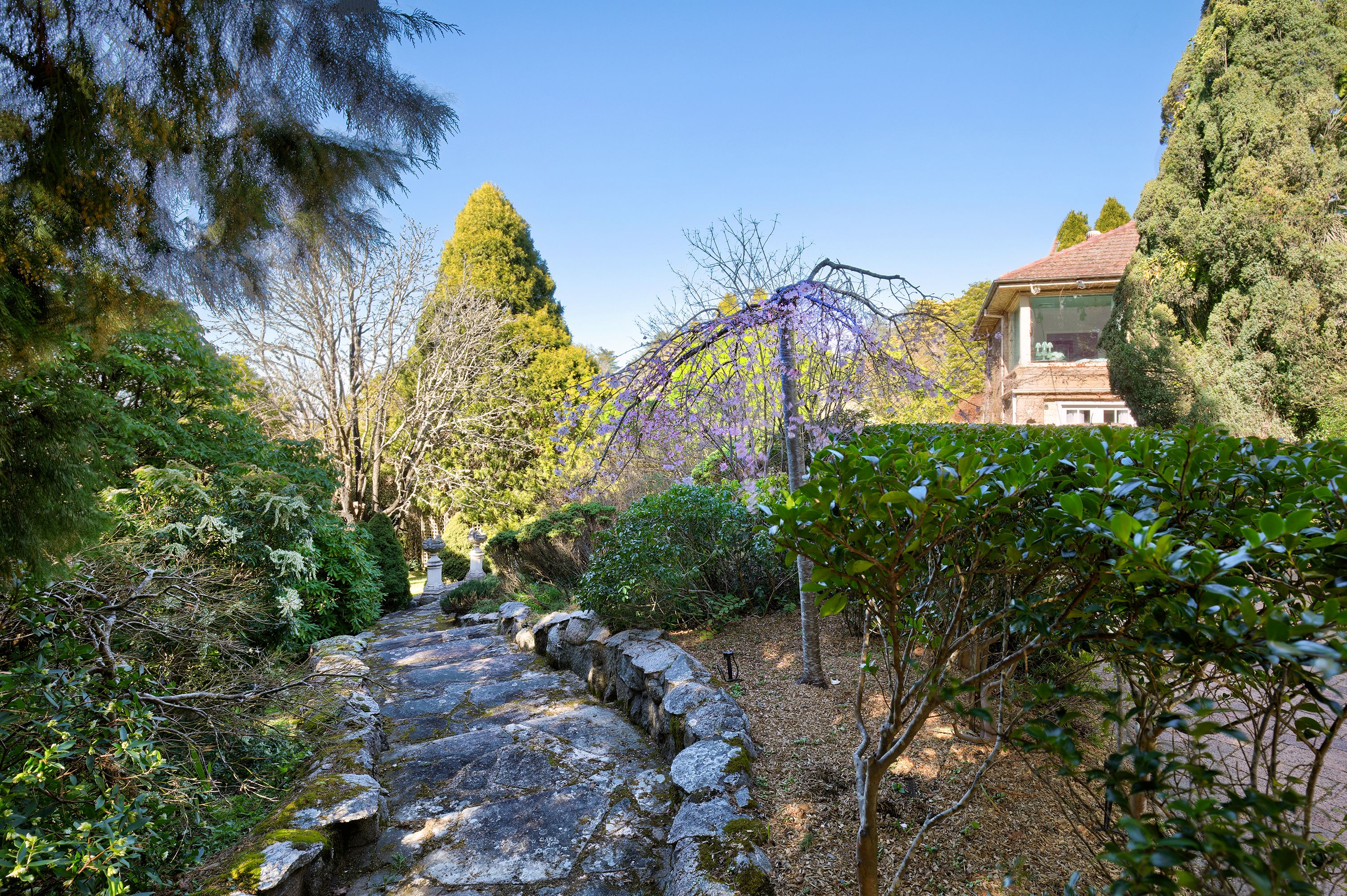3 Toulon Avenue, Wentworth Falls, NSW 2782