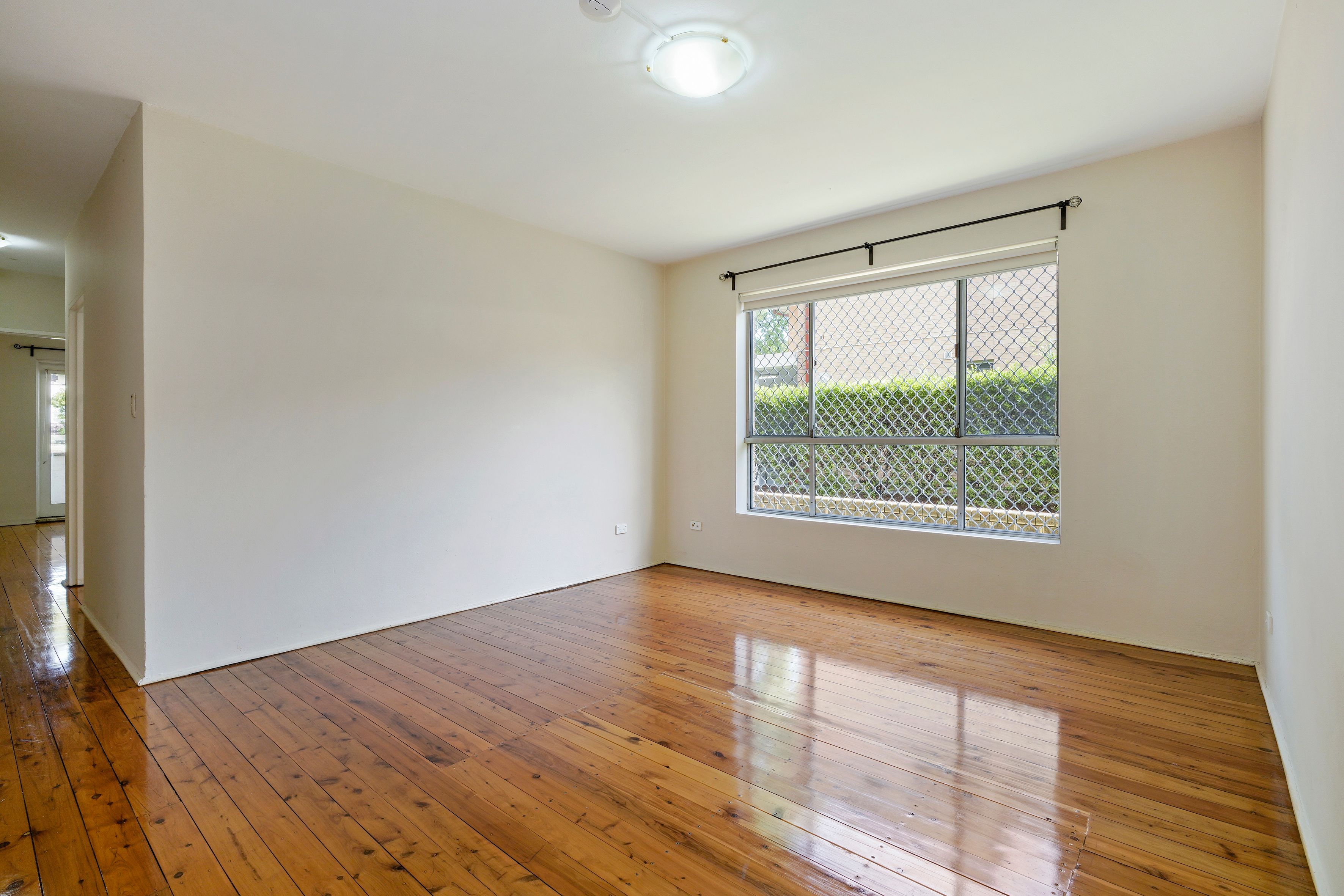2/130 Frederick Street, Ashfield, NSW 2131
