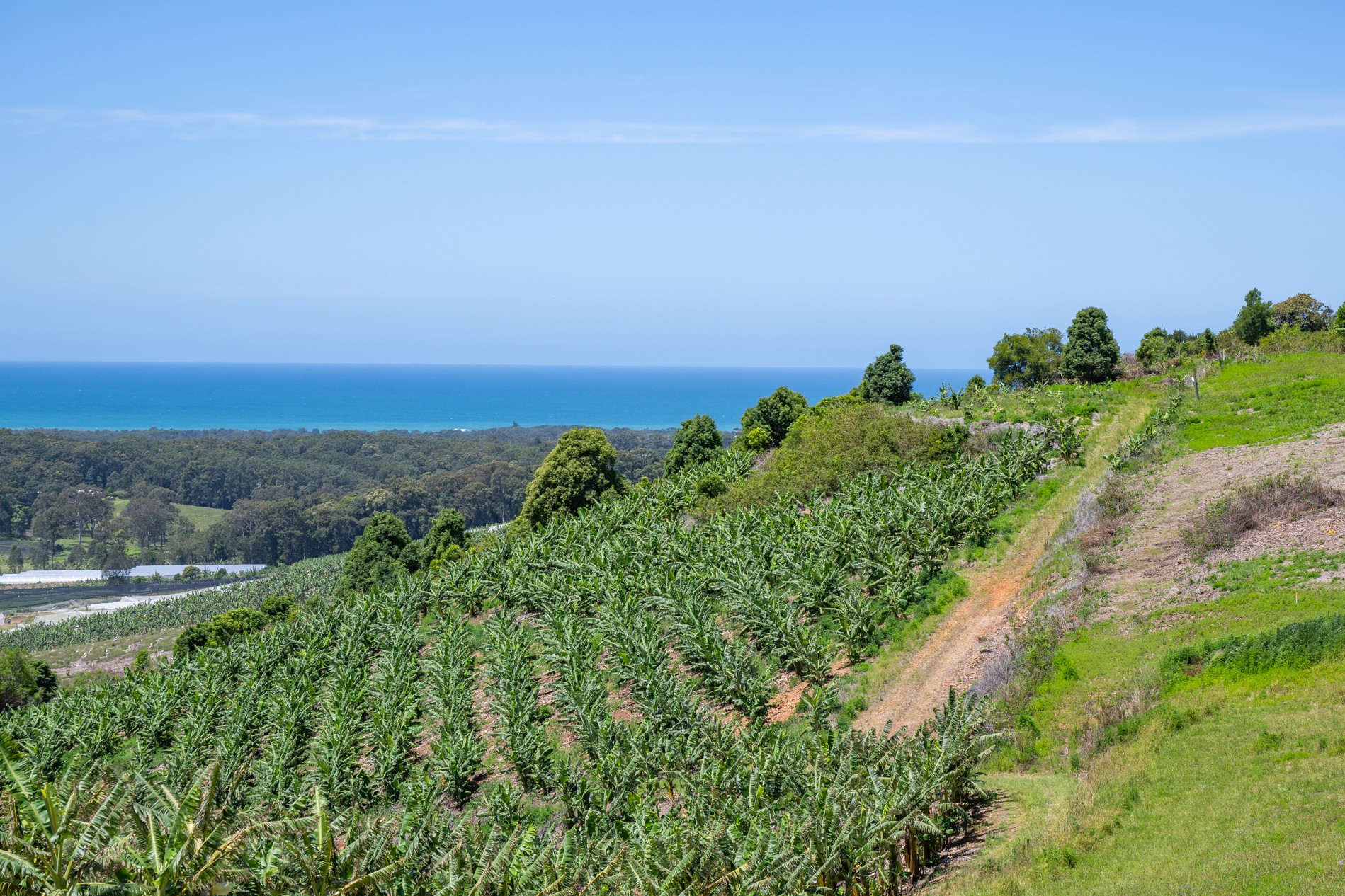 50B Rickards Road, Sandy Beach, NSW 2456