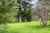 418 Kaiwaka Road photo 14